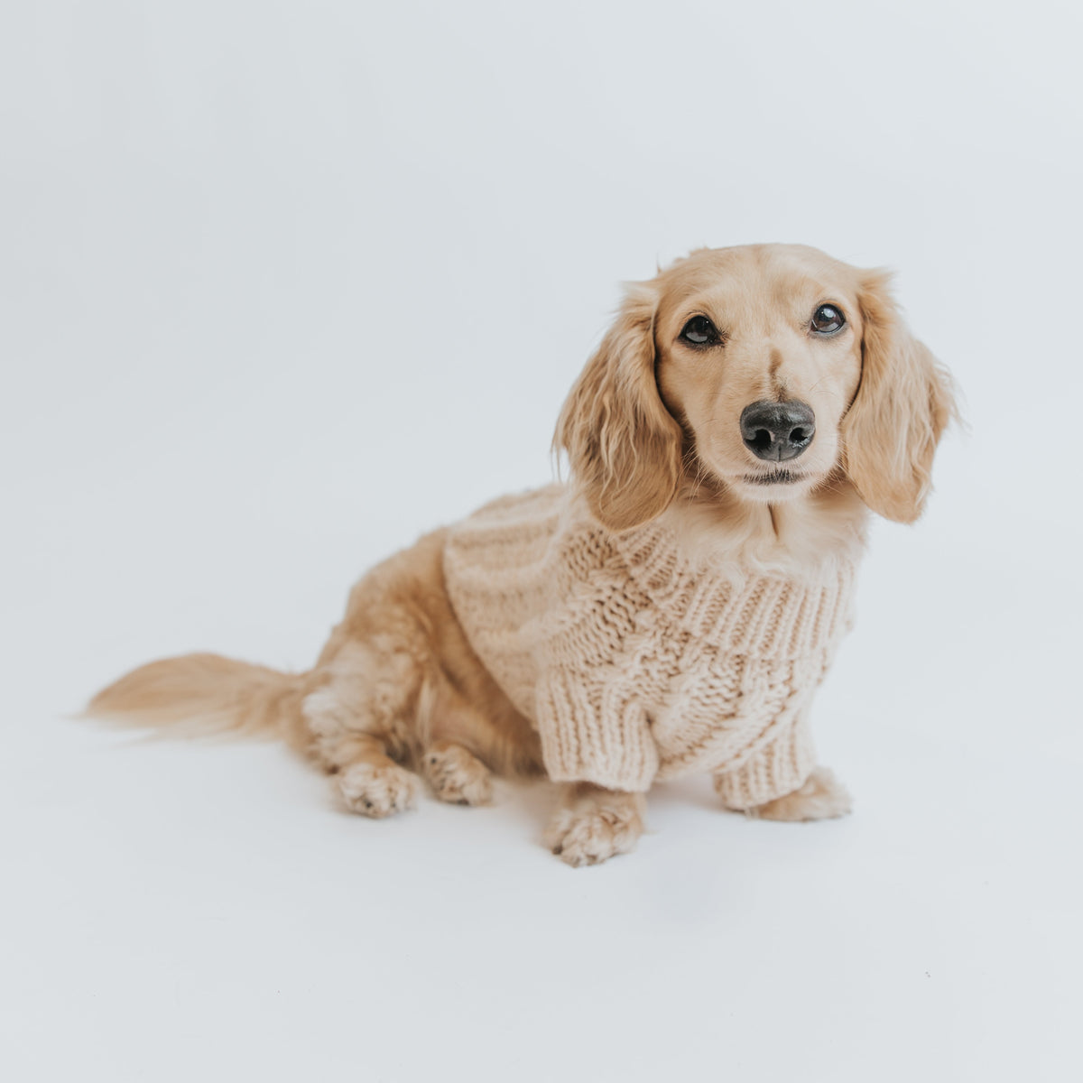 INFLUENCER_CONTENT | @MAYATHEDOX | SIZE M