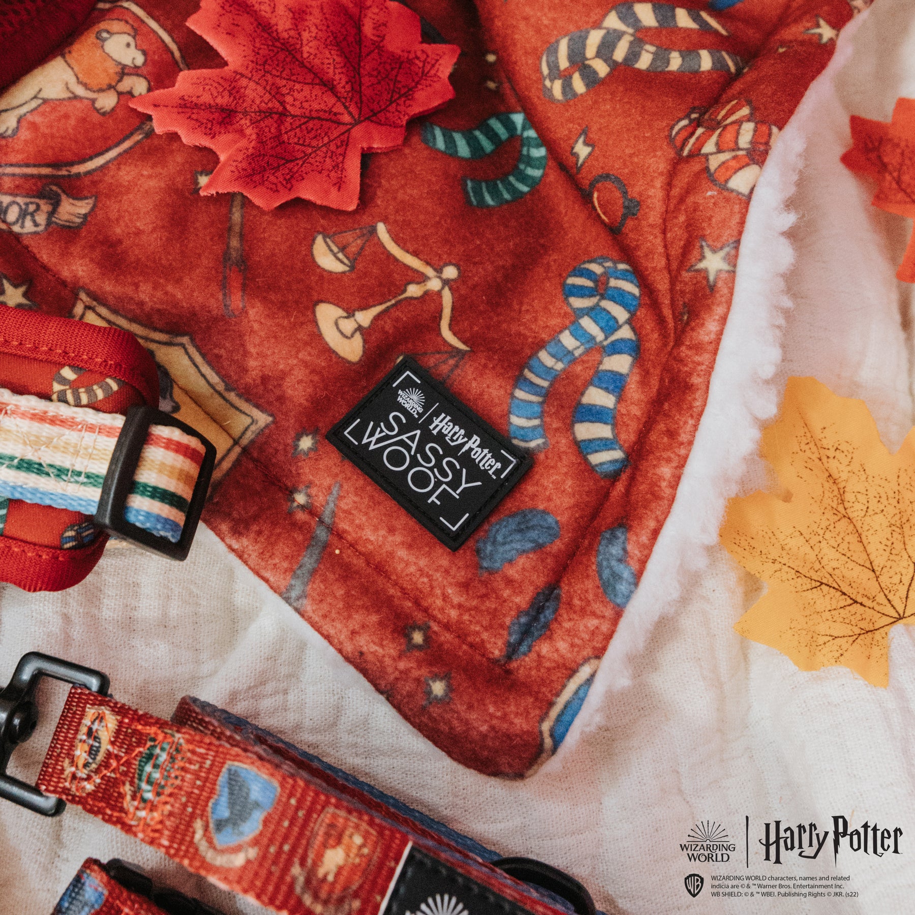 Dog Blanket - Harry Potter™