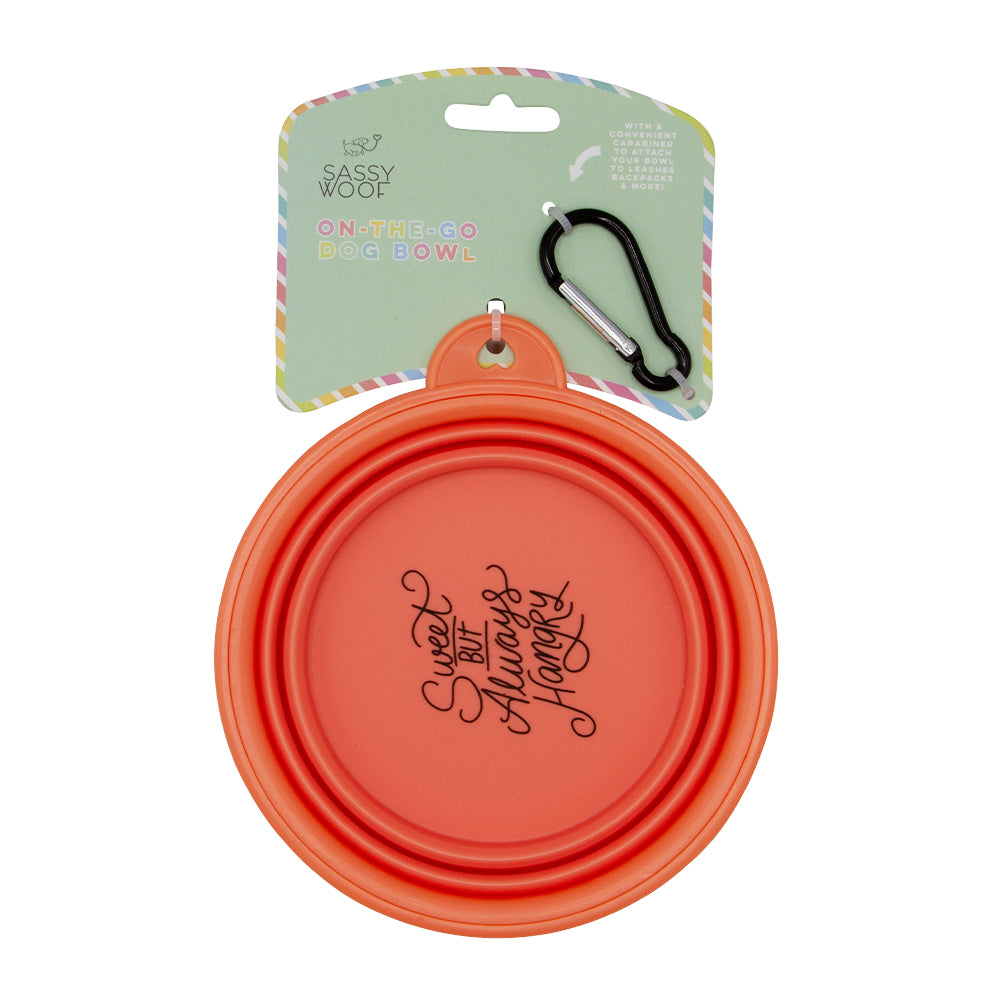 Bundle - Collapsible Water Bowl