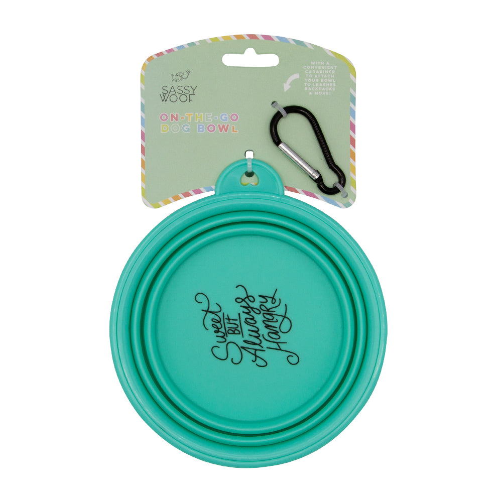 Bundle - Collapsible Water Bowl