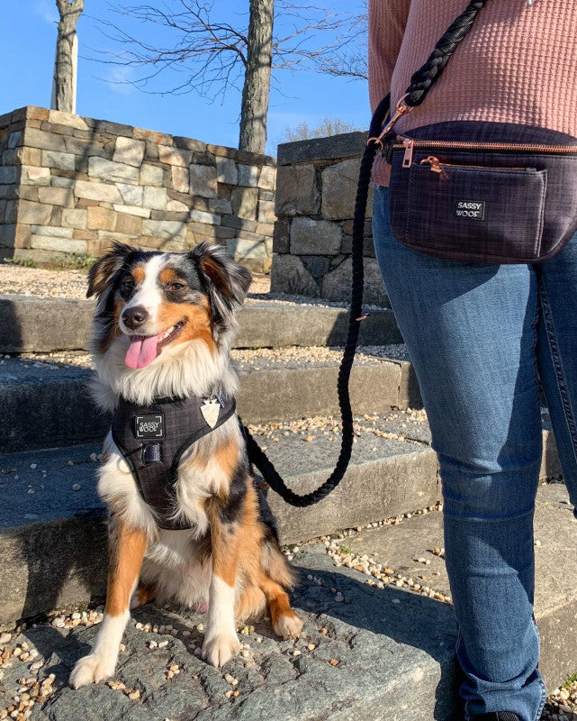 Hands Free Rope Leash - Noir