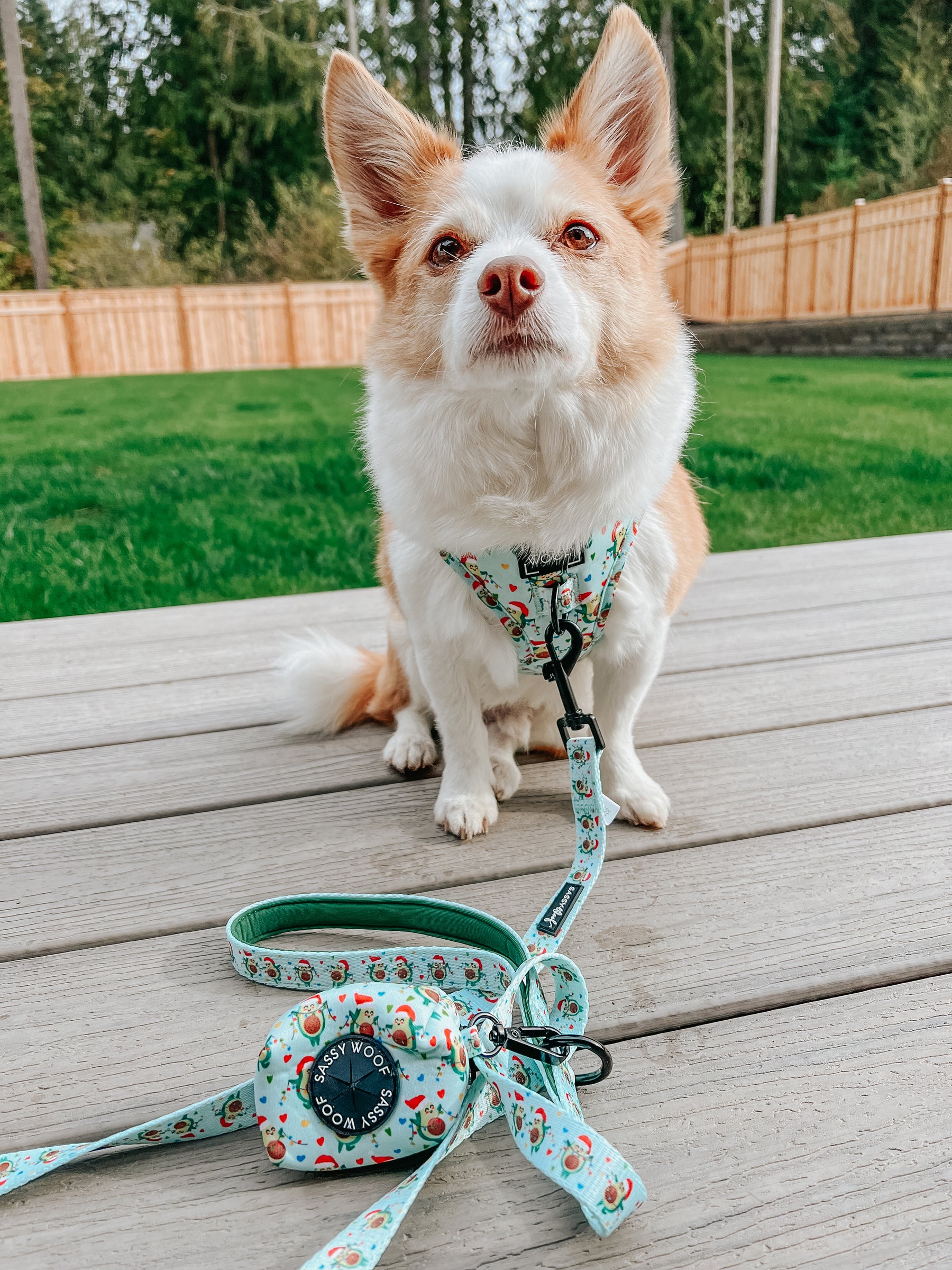 Dog Waste Bag Holder - Jingle Bell Guac