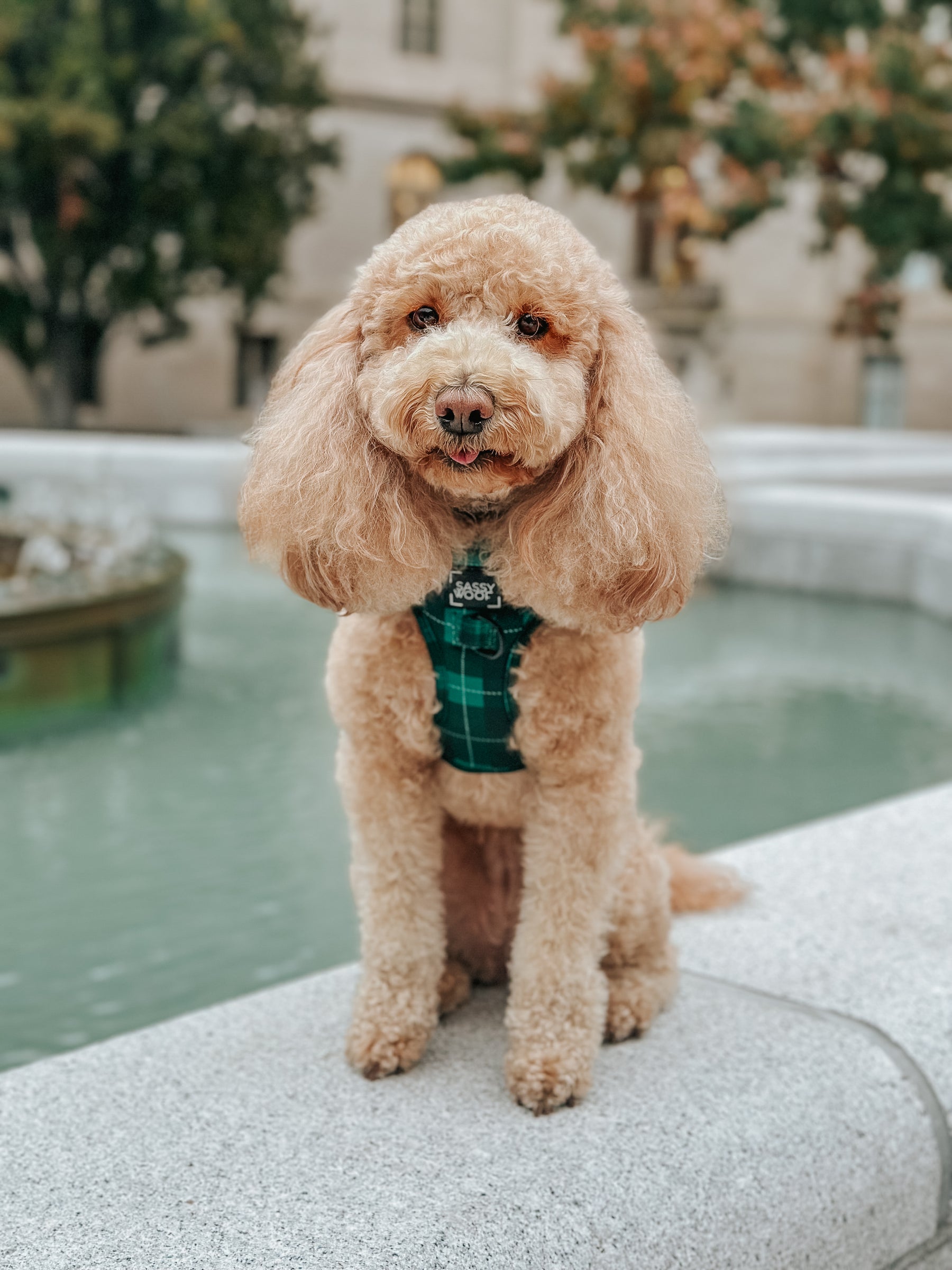 INFLUENCER_CONTENT | @IZZYINADMO | SIZE S