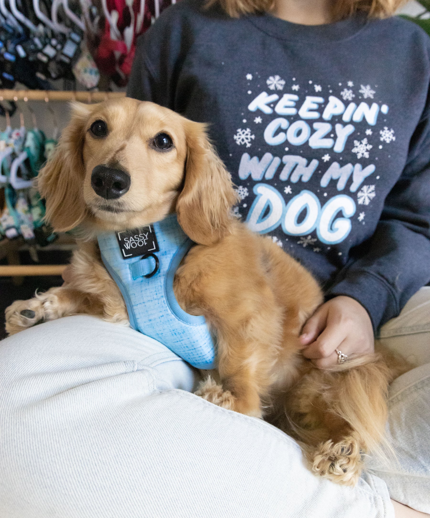 Cozy With My Dog Sweatshirt