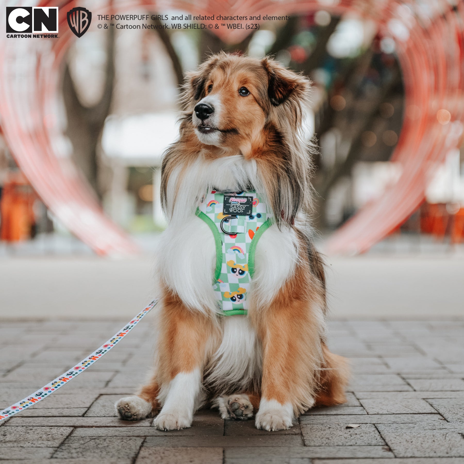 INFLUENCER_CONTENT | @KIRBYTHEFURBABY | SIZE S