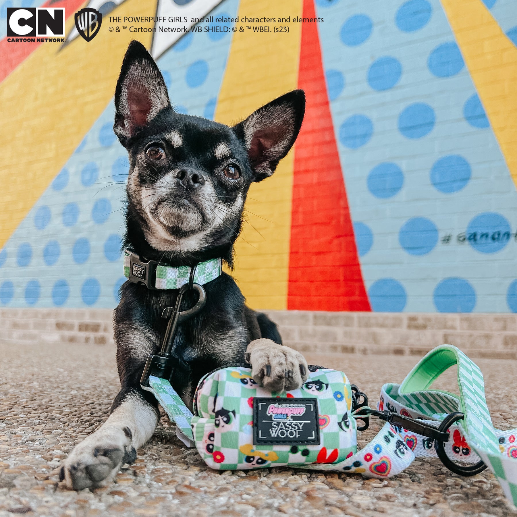 INFLUENCER_CONTENT | @MARILYNCHIHUAHUA | SIZE XS