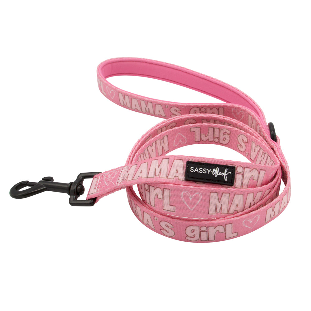 Girl dog best sale collar and leash