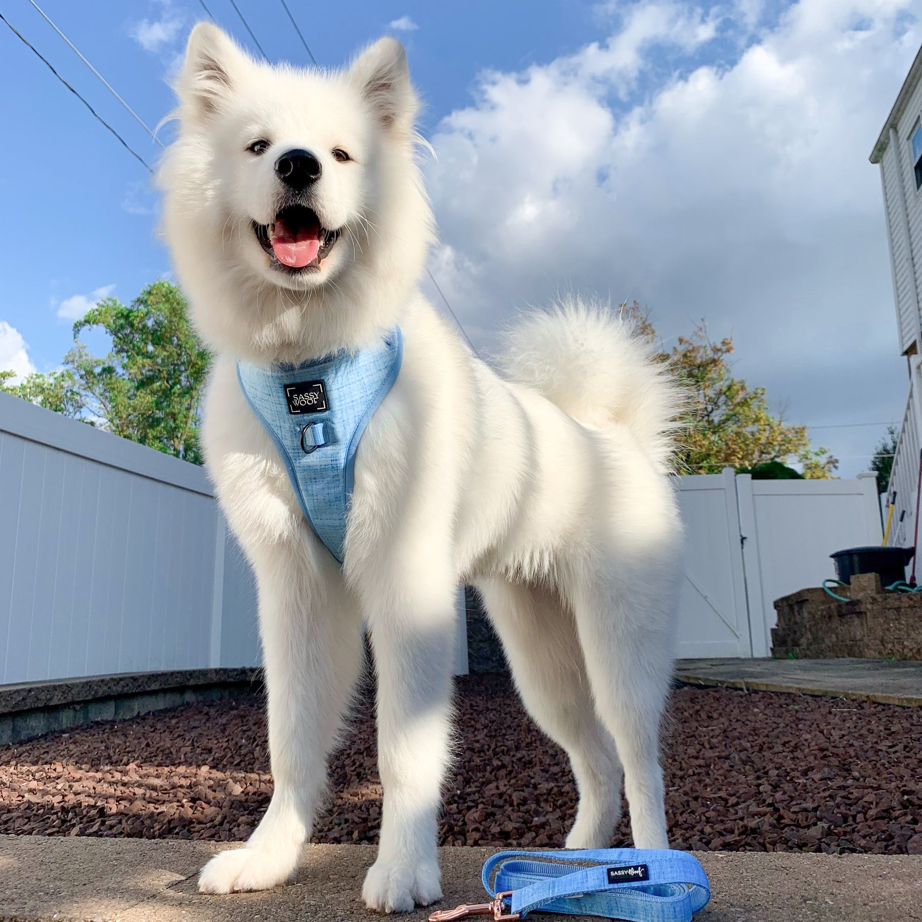 INFLUENCER_CONTENT | @NALA_THE_FLOOF | SIZE L