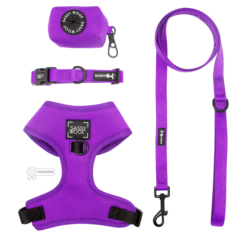 Dog Four Piece Bundle - Neon Purple