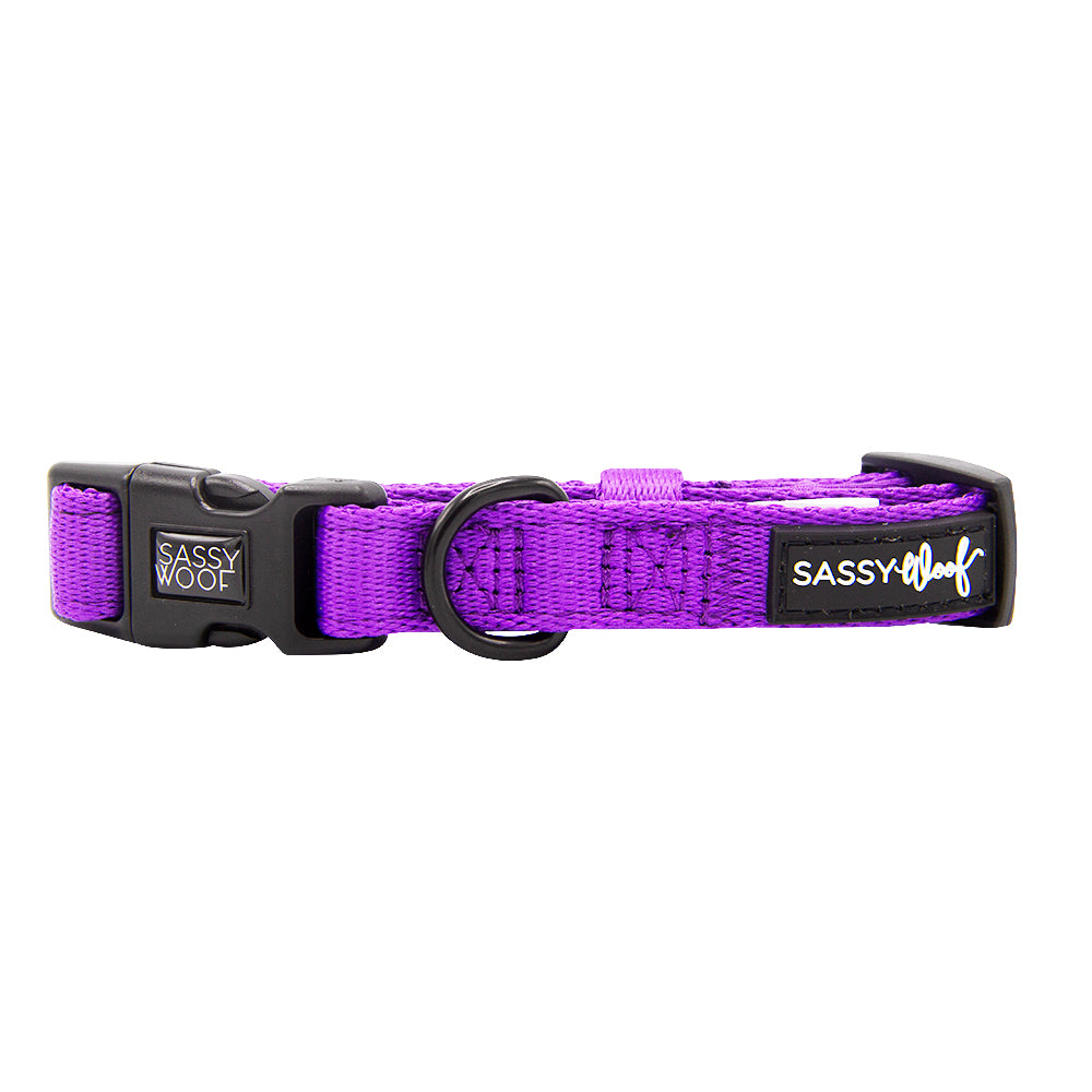 Dog Collar - Neon Purple