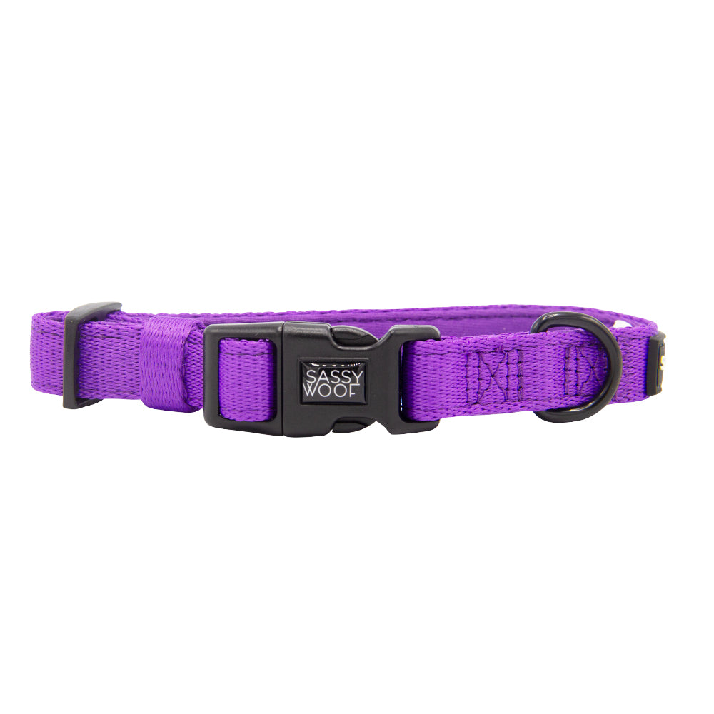 Dog Four Piece Bundle - Neon Purple