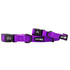 Two comfortable, adjustable Sassy Woof Dog Collar - Neon Purple collars with black plastic buckles and metal D-rings, each featuring the Sassy Woof label.
