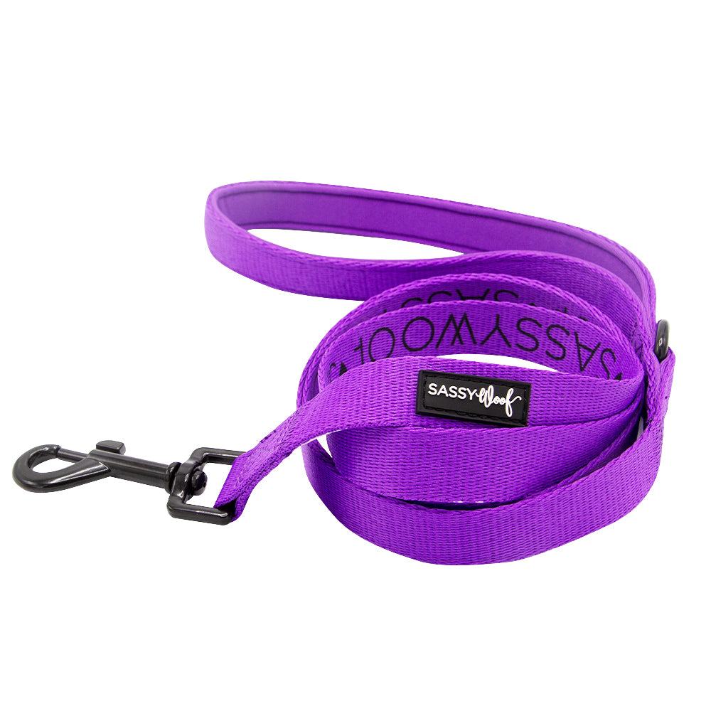 Dog Leash - Neon Purple