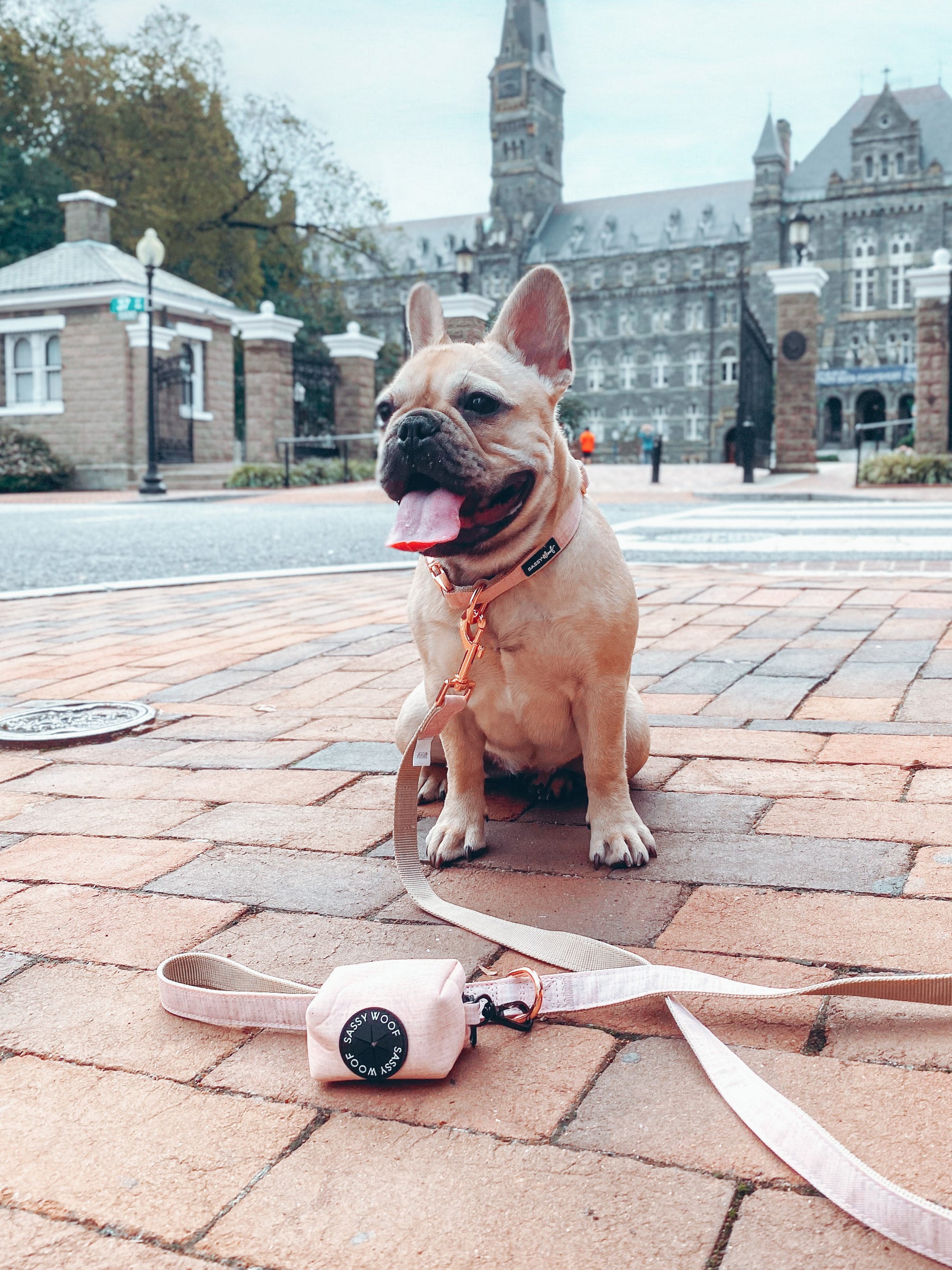 Dog Waste Bag Holder - Pinot