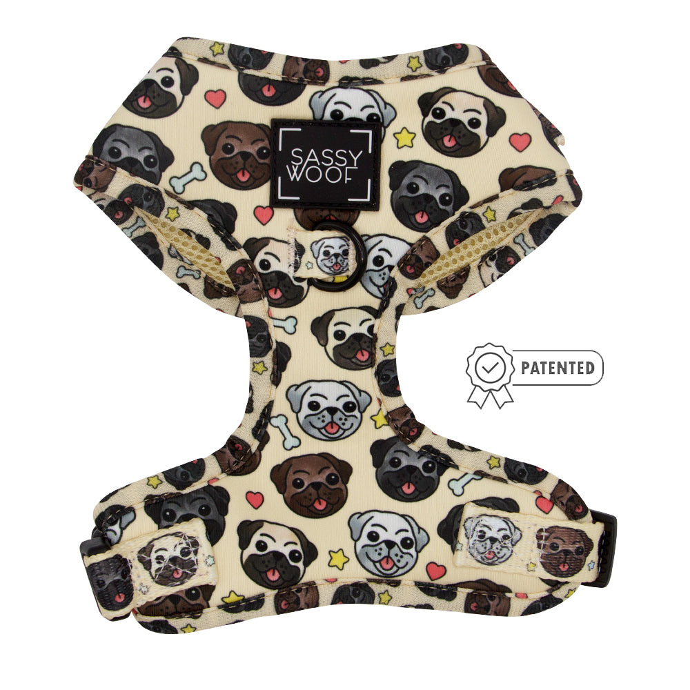 Dog Four Piece Bundle - It's a Pug's Life