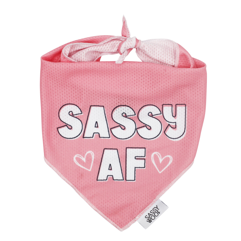 Dog Bandana - Sassy AF