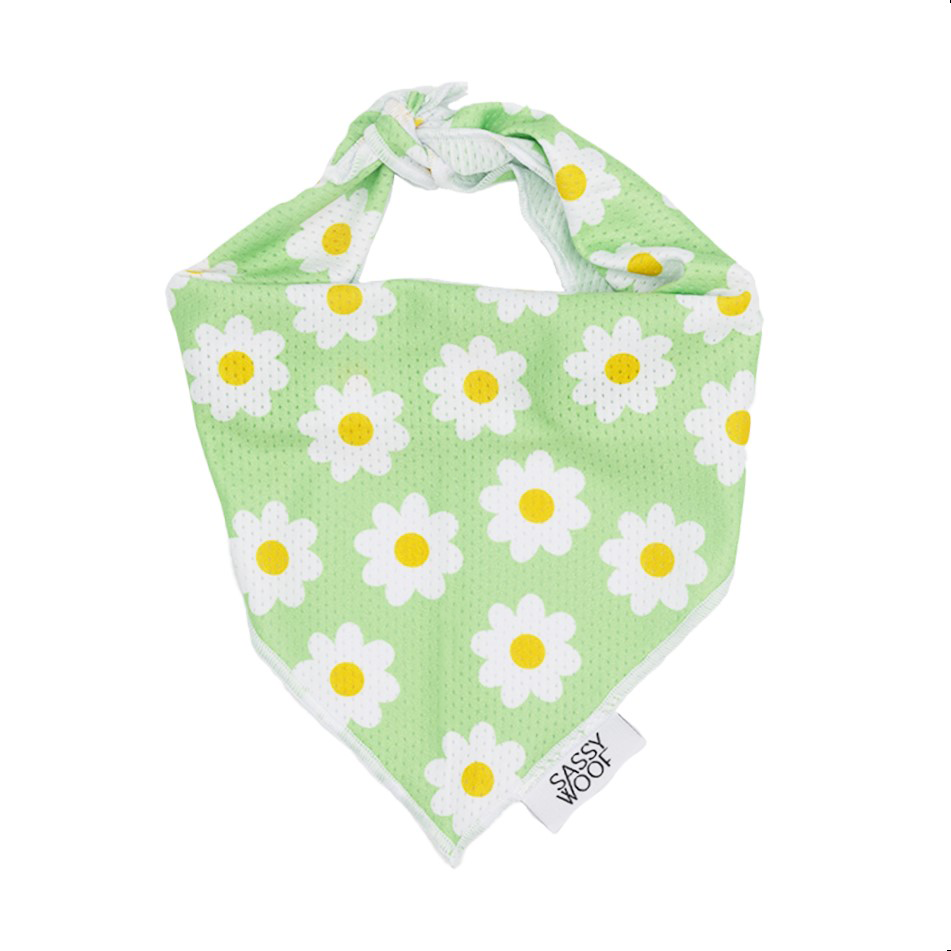 Dog Bandana - Daisy