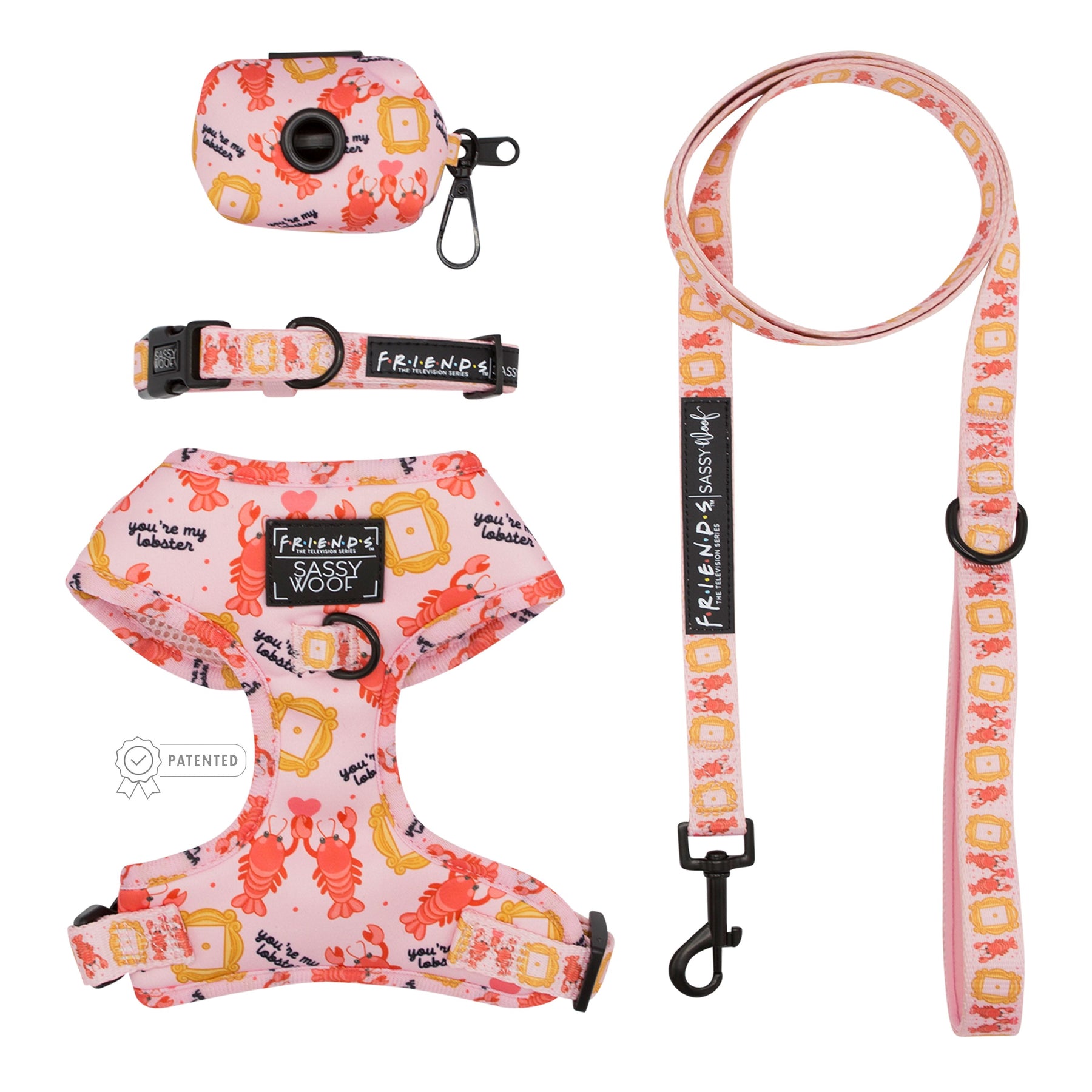 Dog Four Piece Bundle - Friends™ (Lobster)