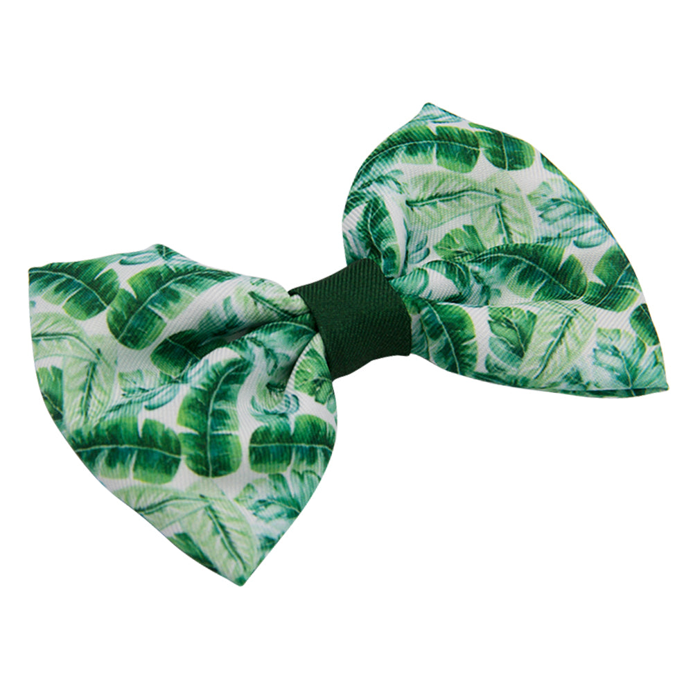 Dog Bowtie - Verano