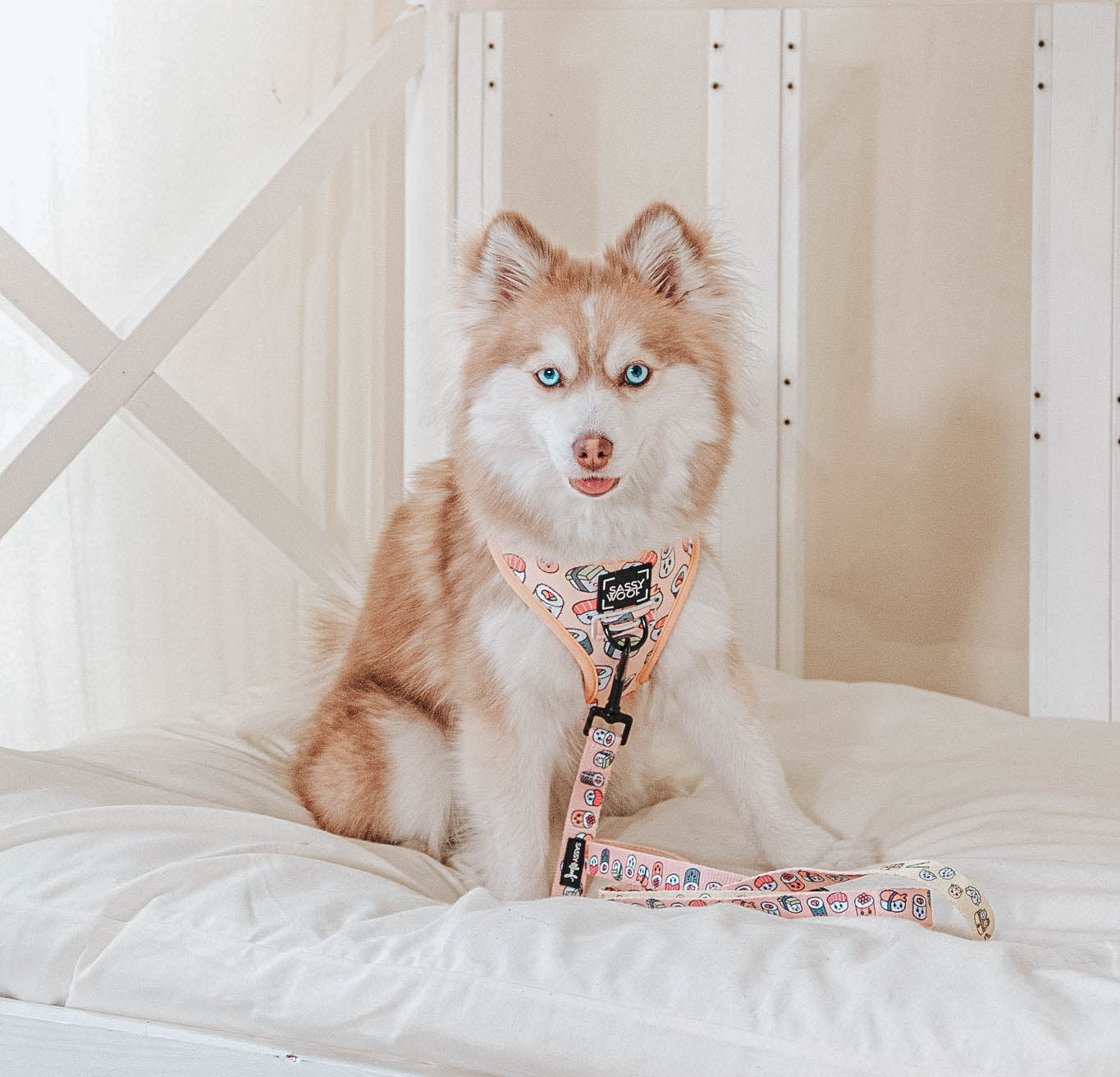 INFLUENCER_CONTENT | @ROSEY.LILY.POMSKIES | SIZE S