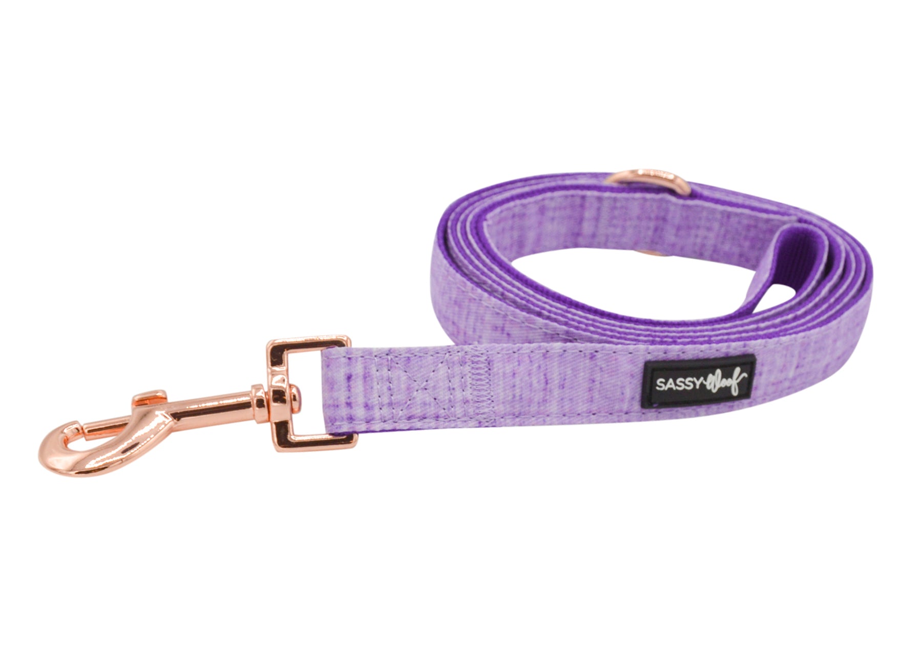 Dog Leash - Aurora