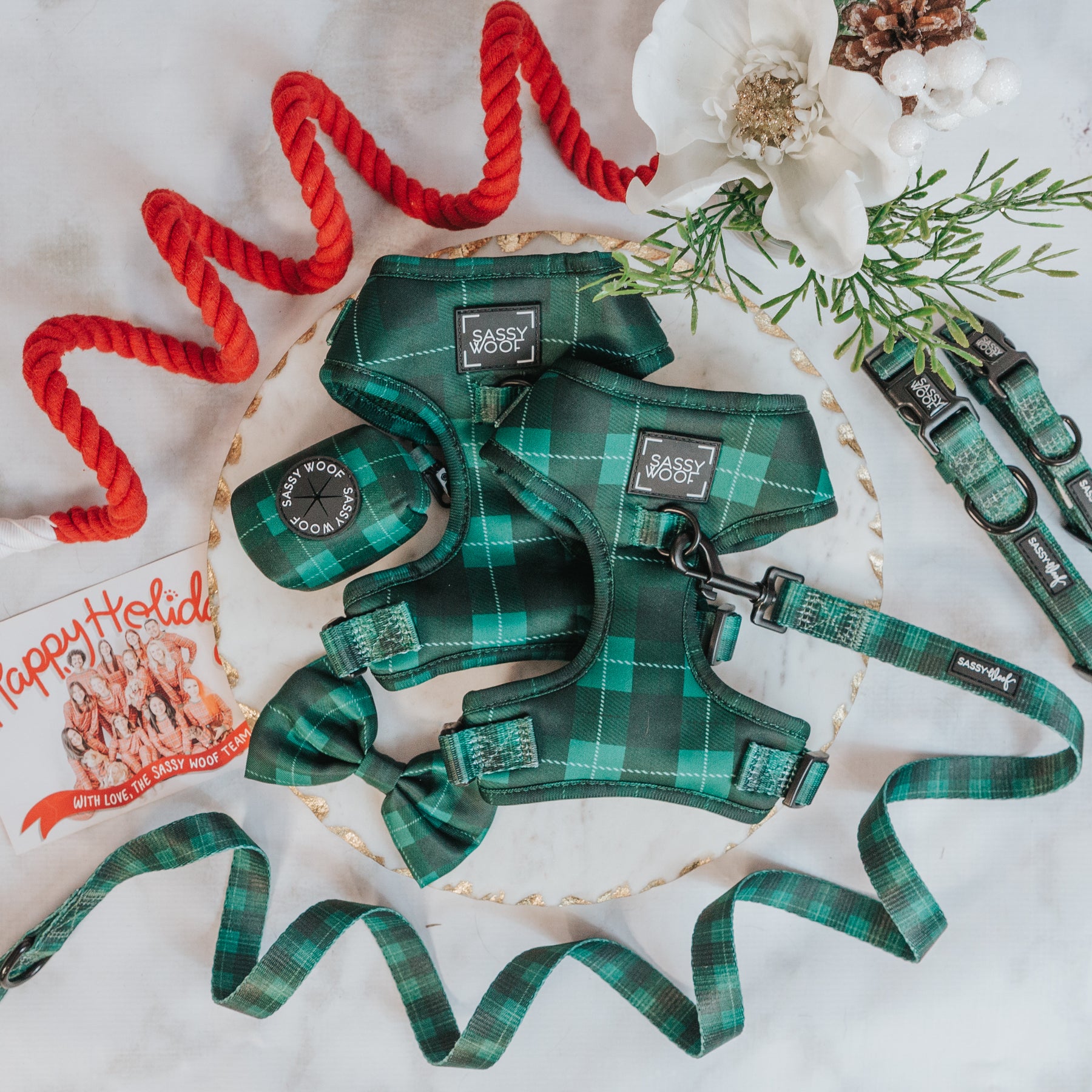 Dog Bundle - Barks of Holly