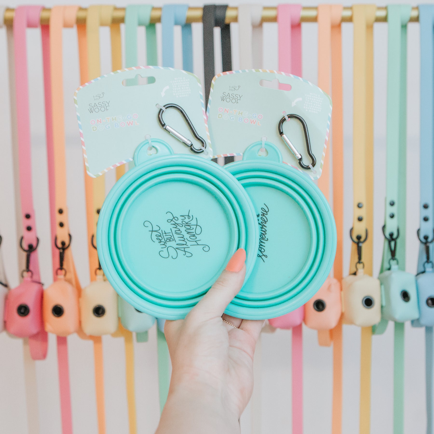 Bundle - Collapsible Water Bowl