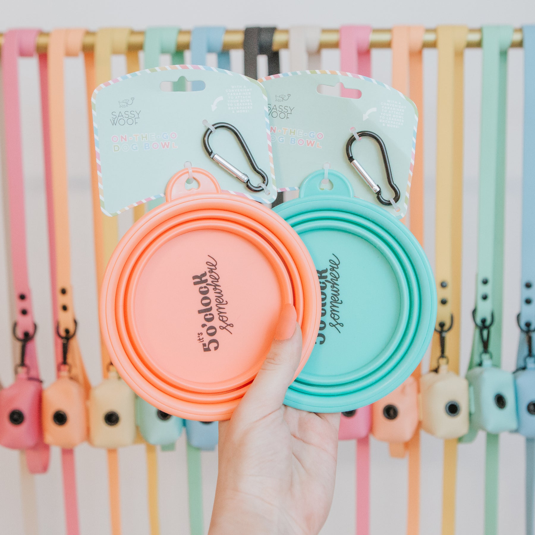 Bundle - Collapsible Water Bowl