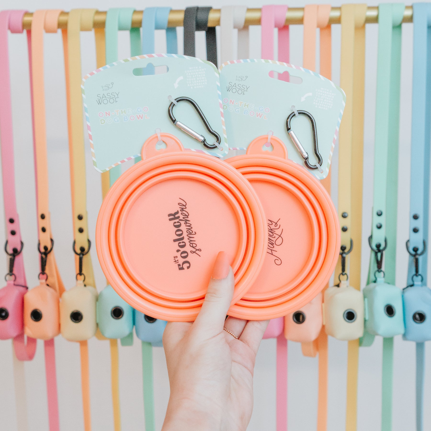 Bundle - Collapsible Water Bowl