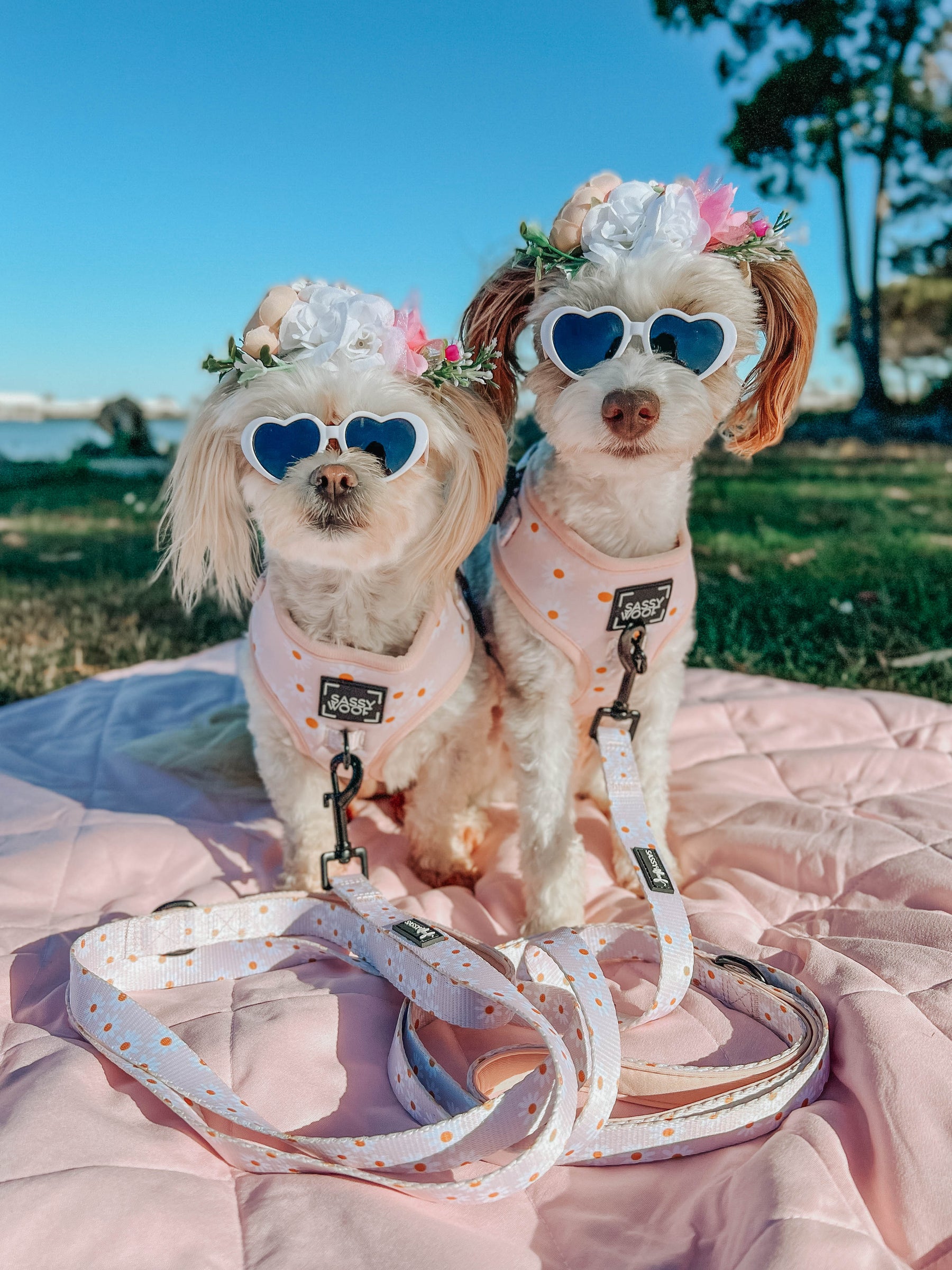 INFLUENCER_CONTENT | @EMI.AND.JOJO