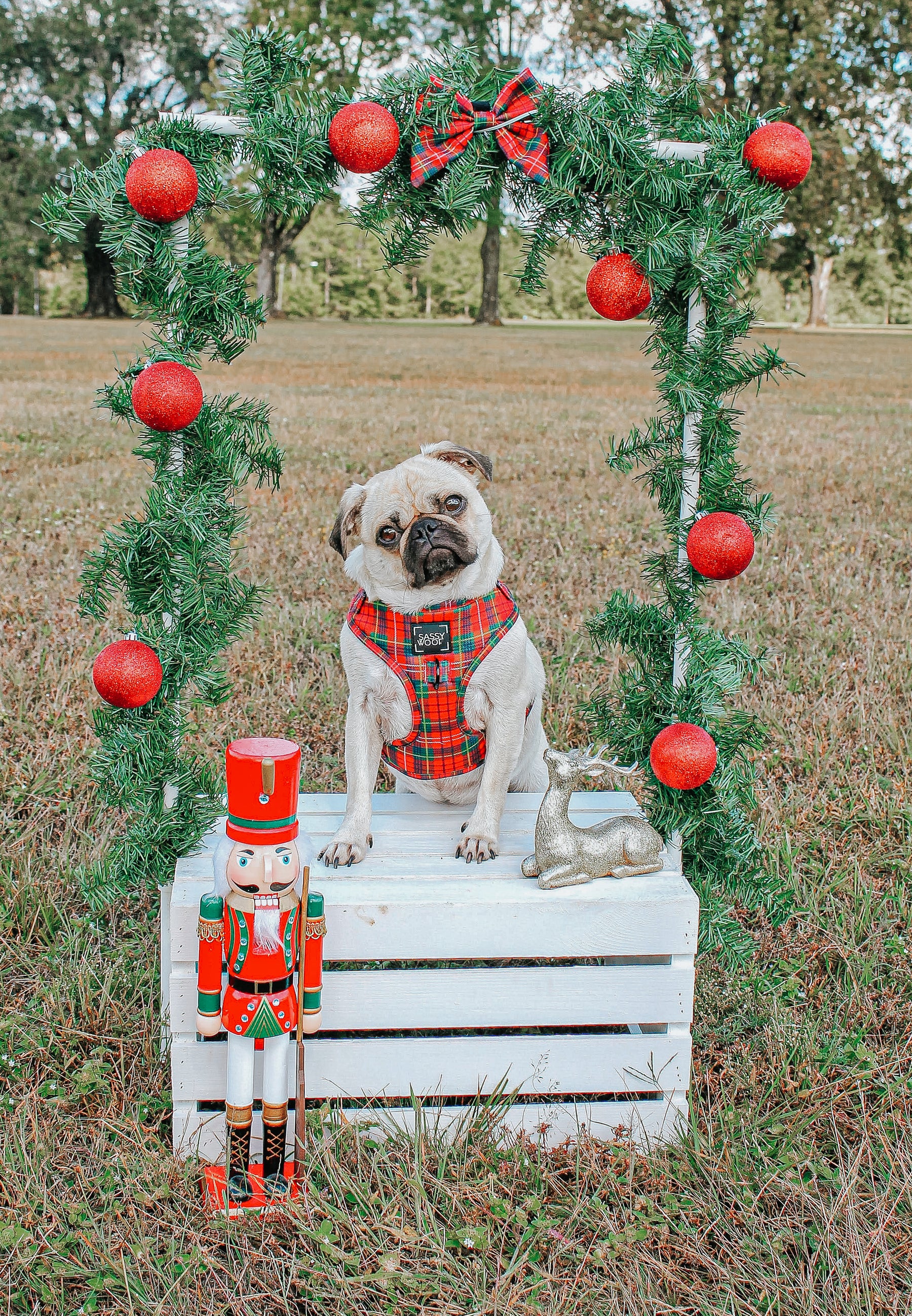 INFLUENCER_CONTENT | @LITTLEMISSYTHEPUG | SIZE S