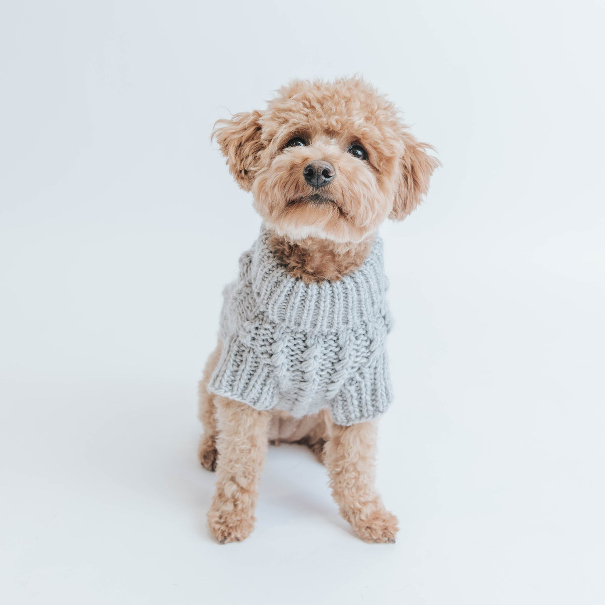 INFLUENCER_CONTENT | @MAISEYJANE21 | SIZE M