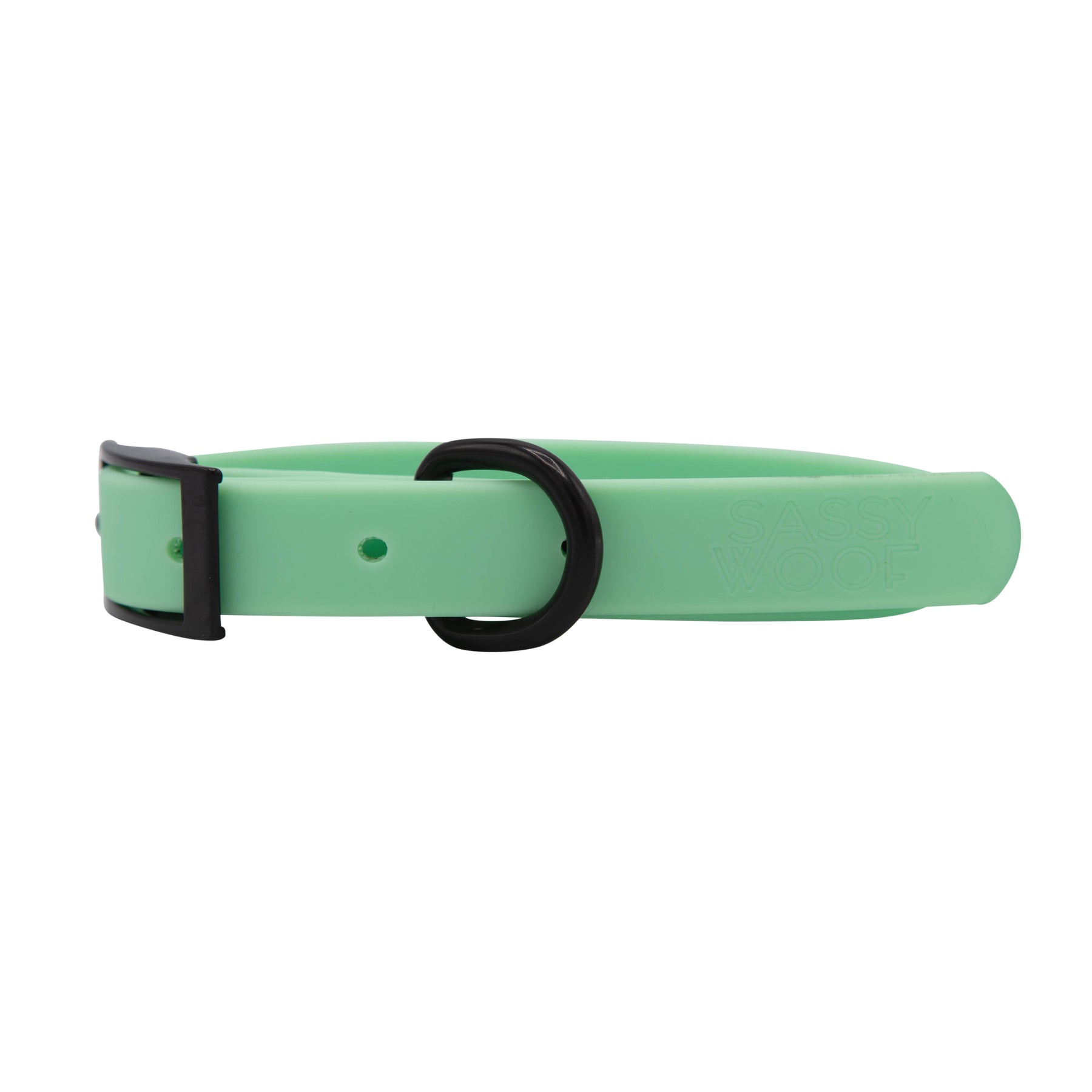 Dog Waterproof Collar - Green