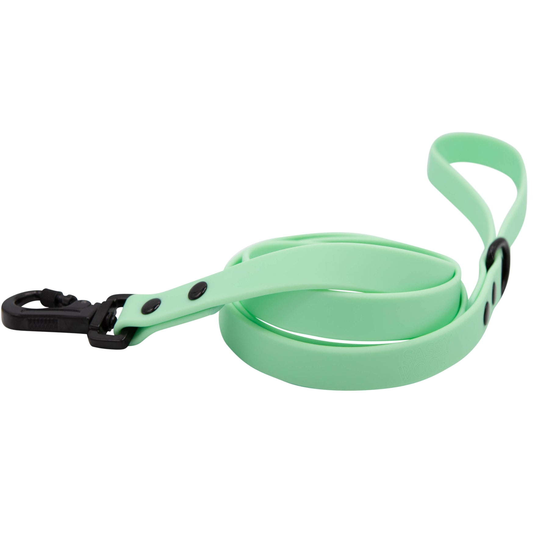 Dog Waterproof Leash - Green