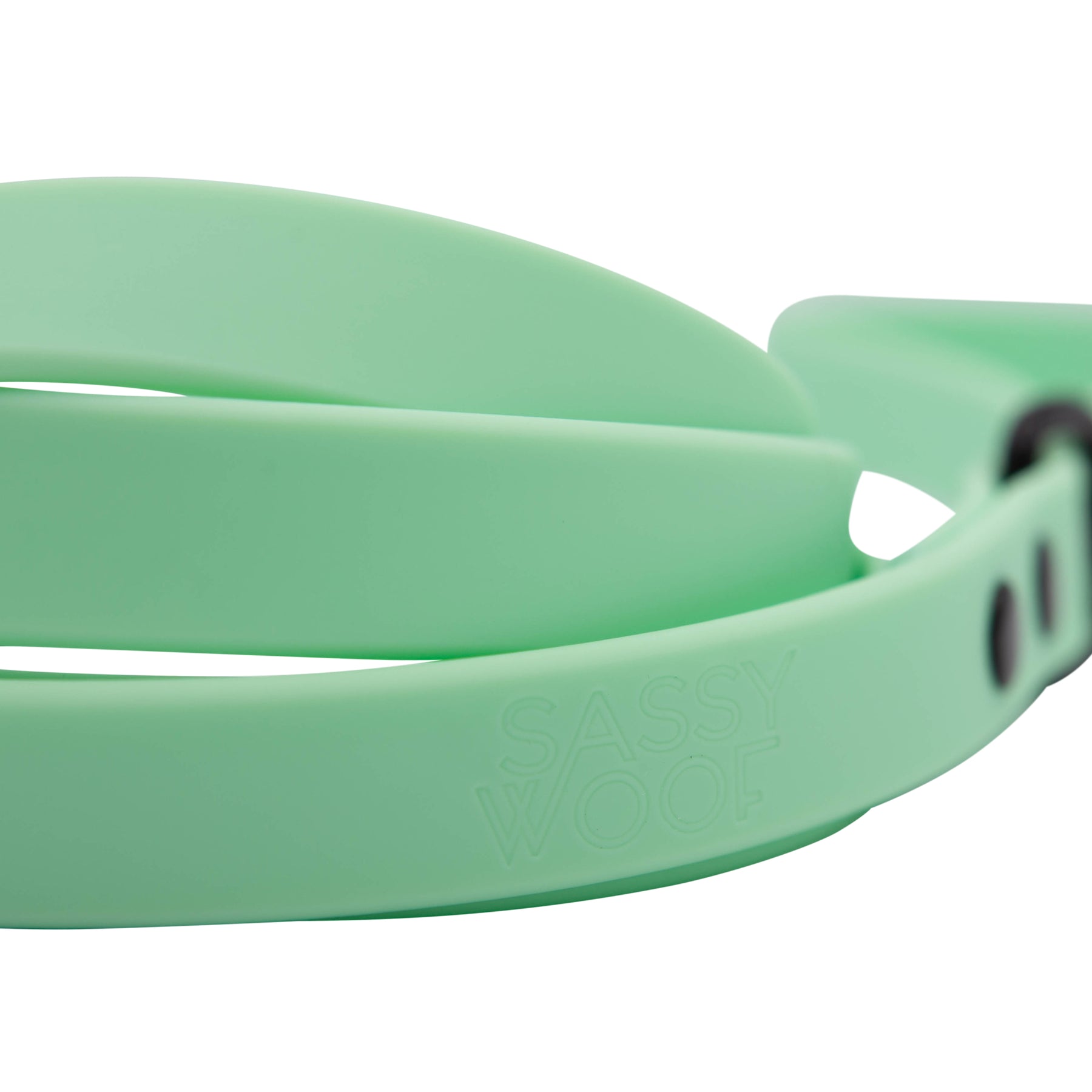 Dog Waterproof Leash - Green