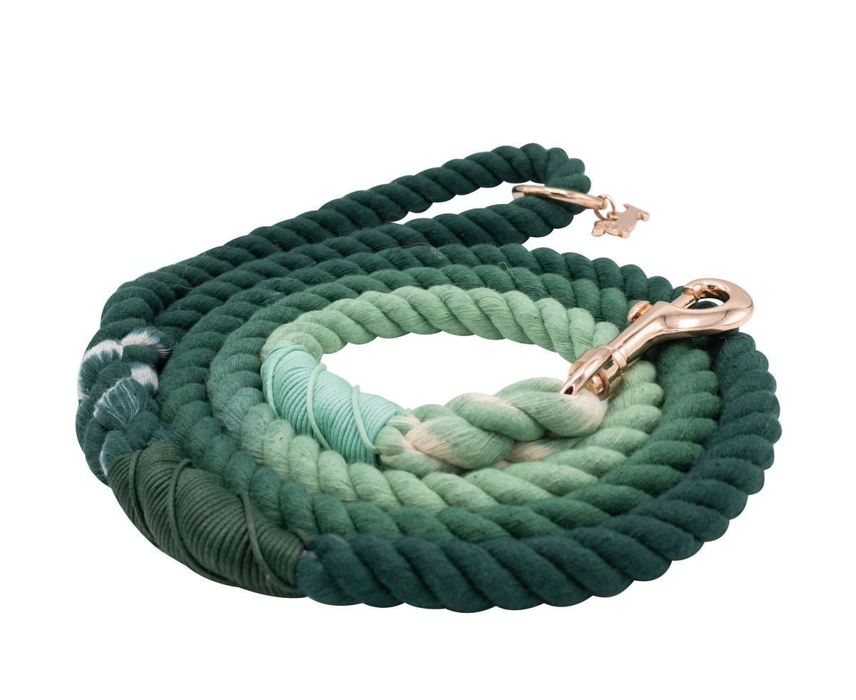 The Sassy Woof Dog Rope Leash - Hunter is a hand-crafted leash with a sturdy metal clasp, featuring a coiled design and an ombre gradient that transitions from dark green to light green.