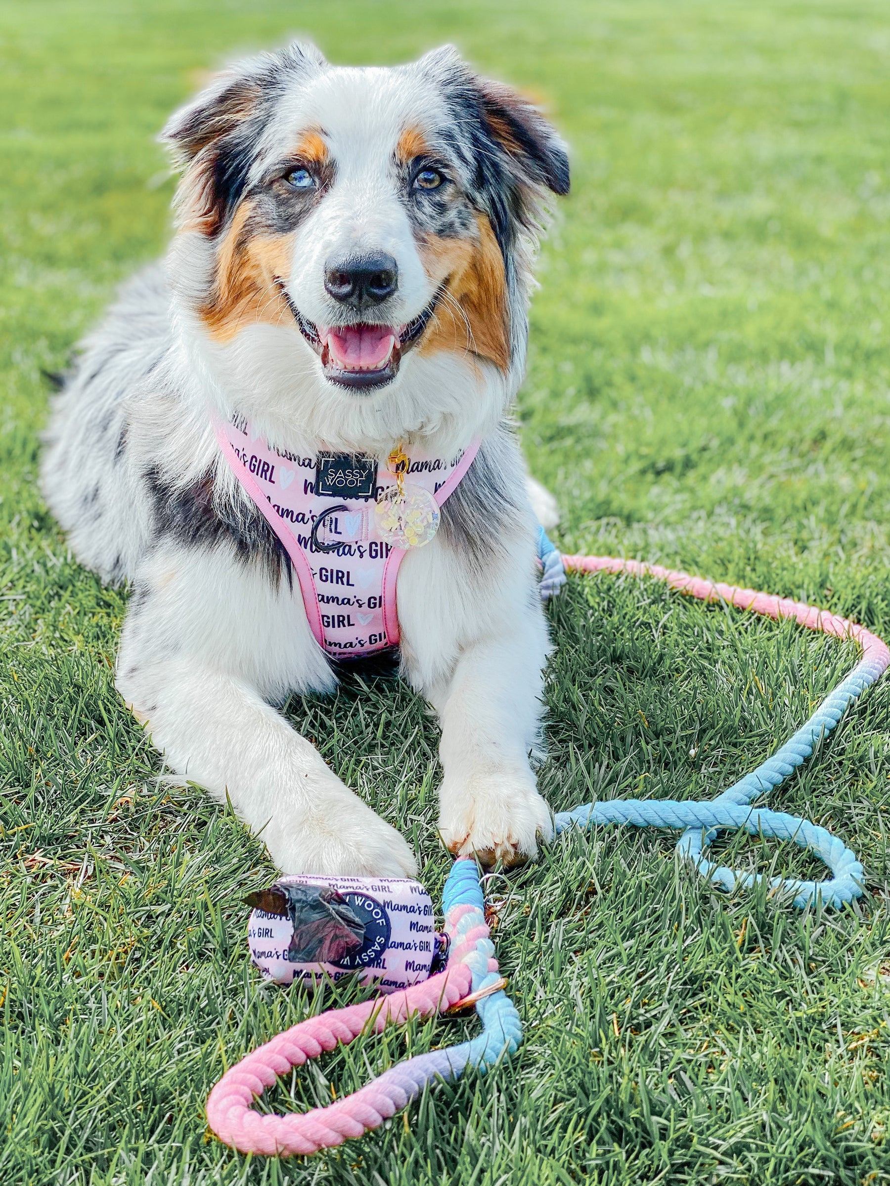 Dog Rope Leash - Romance