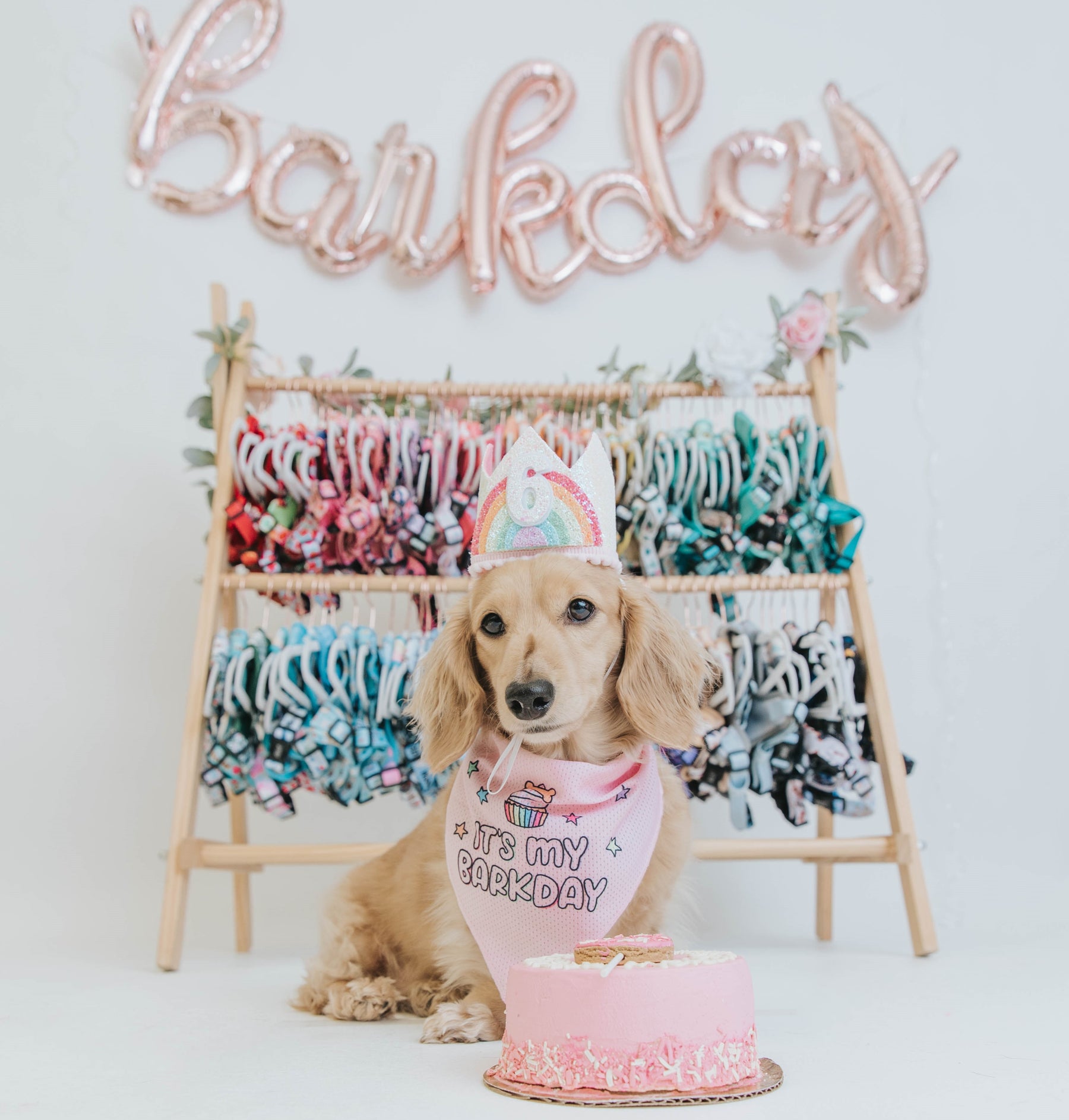 Dog Bandana - Barkday Pink