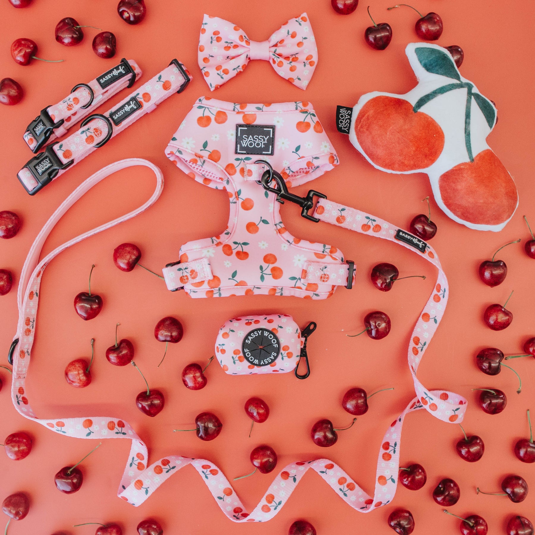 Dog Four Piece Bundle - Mon Chérry