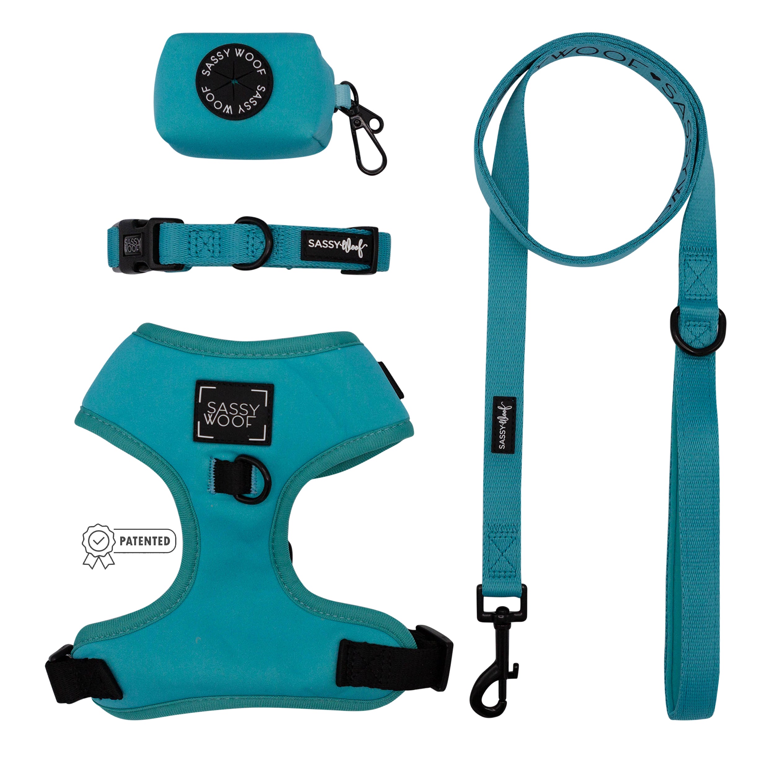 Dog Four Piece Bundle - Neon Blue | Sassy Woof Product