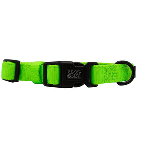 Dog Four Piece Bundle - Neon Green