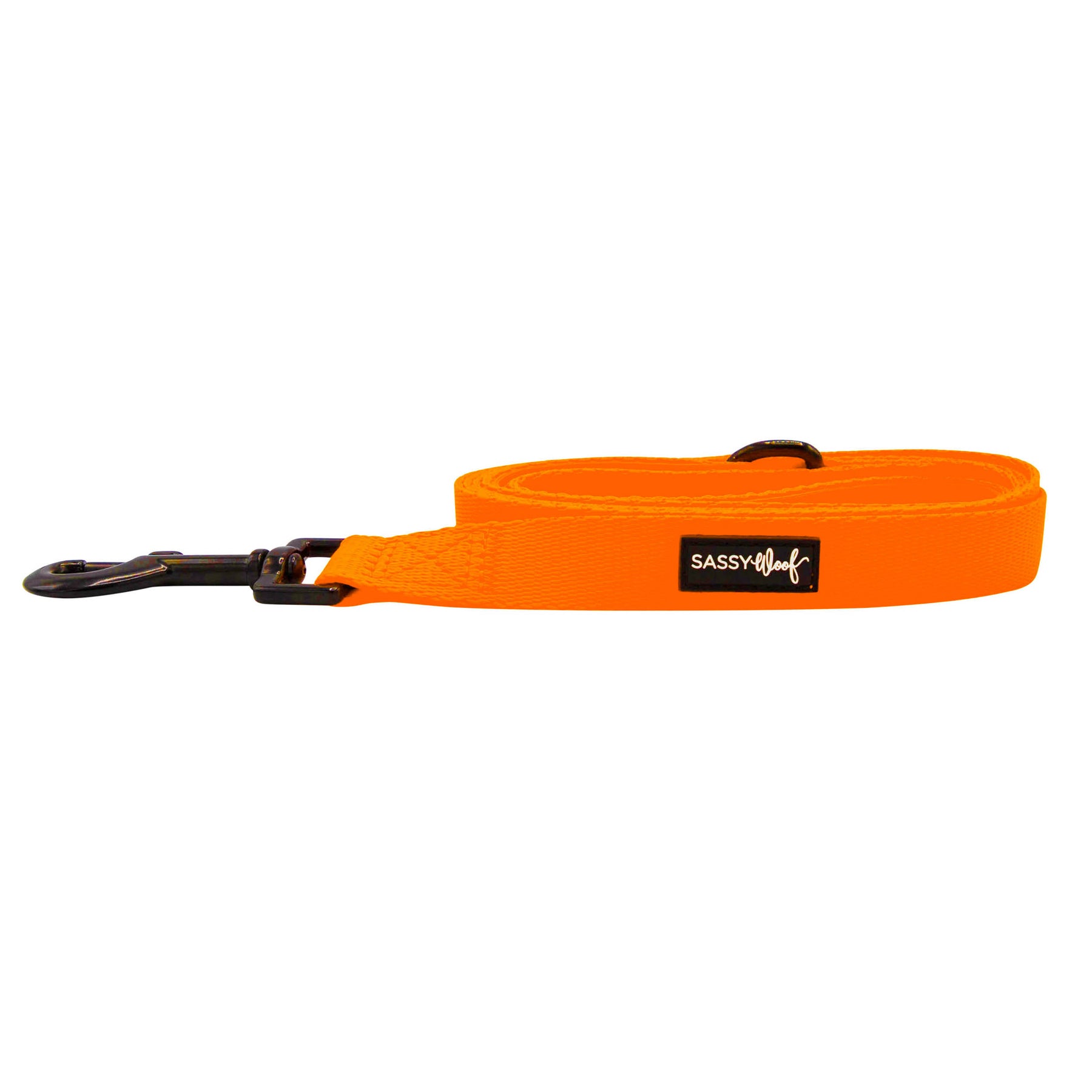 Dog Leash - Neon Orange