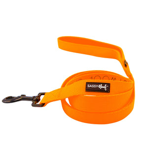 Dog Four Piece Bundle - Neon Orange