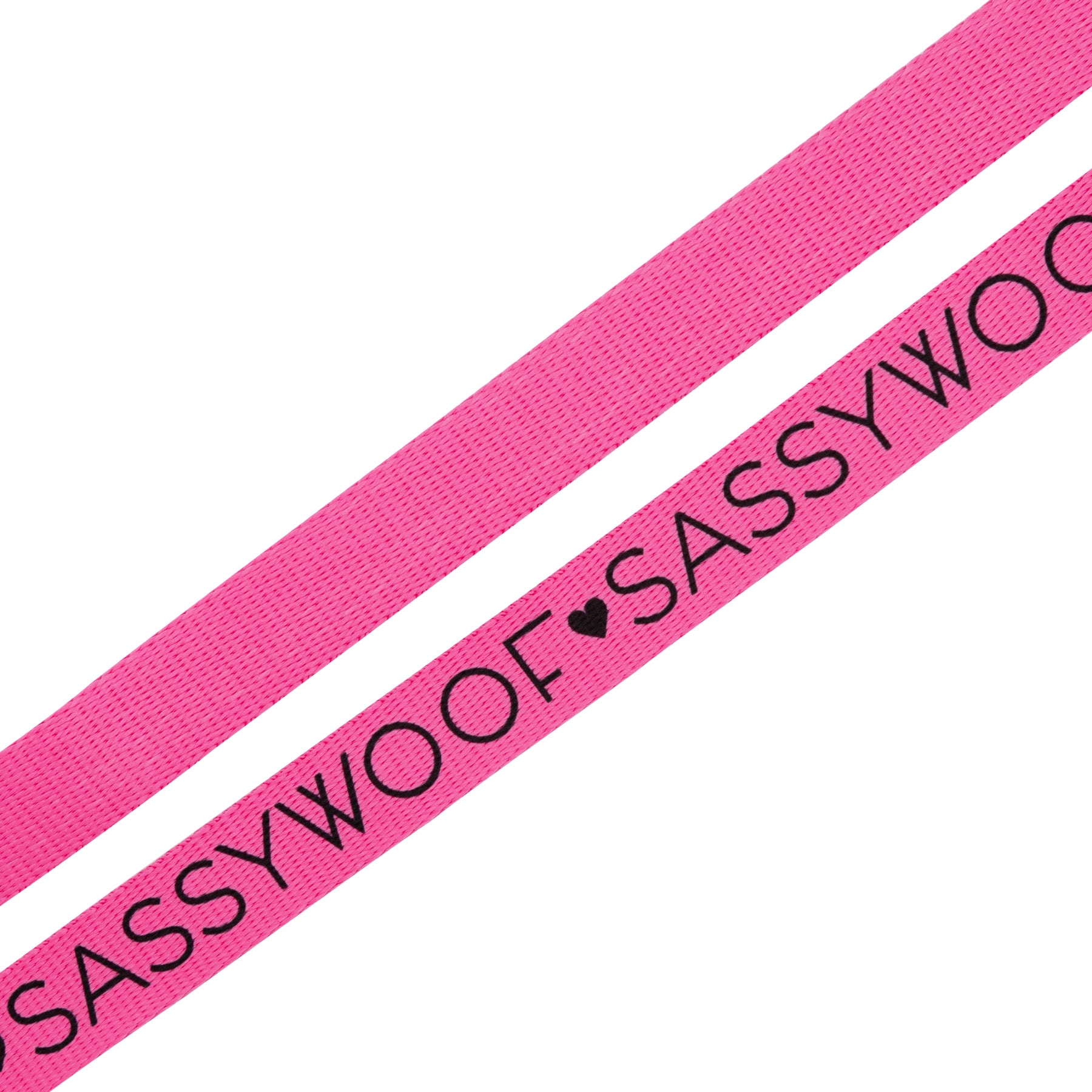 Dog Leash - Neon Pink