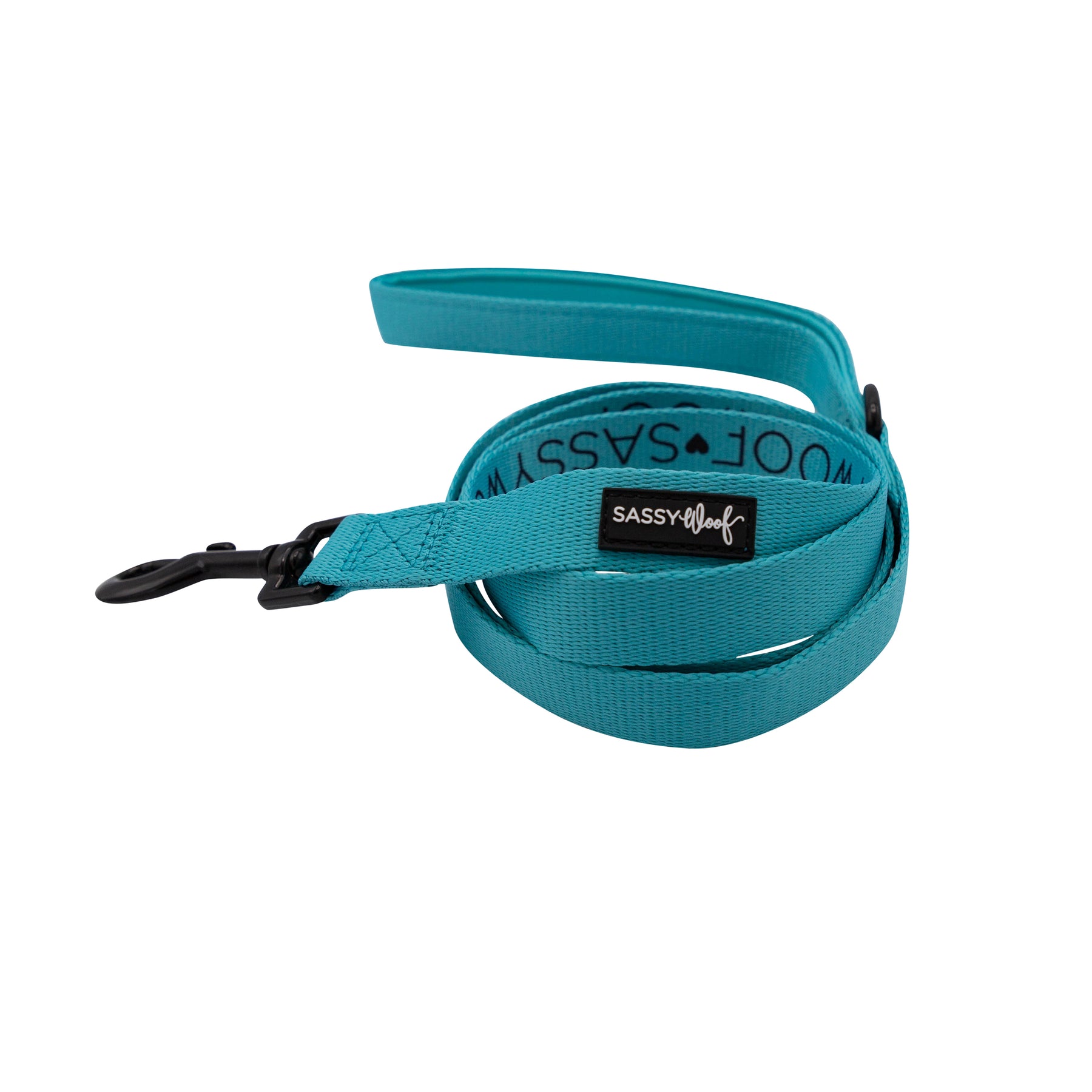 Dog Leash - Neon Blue