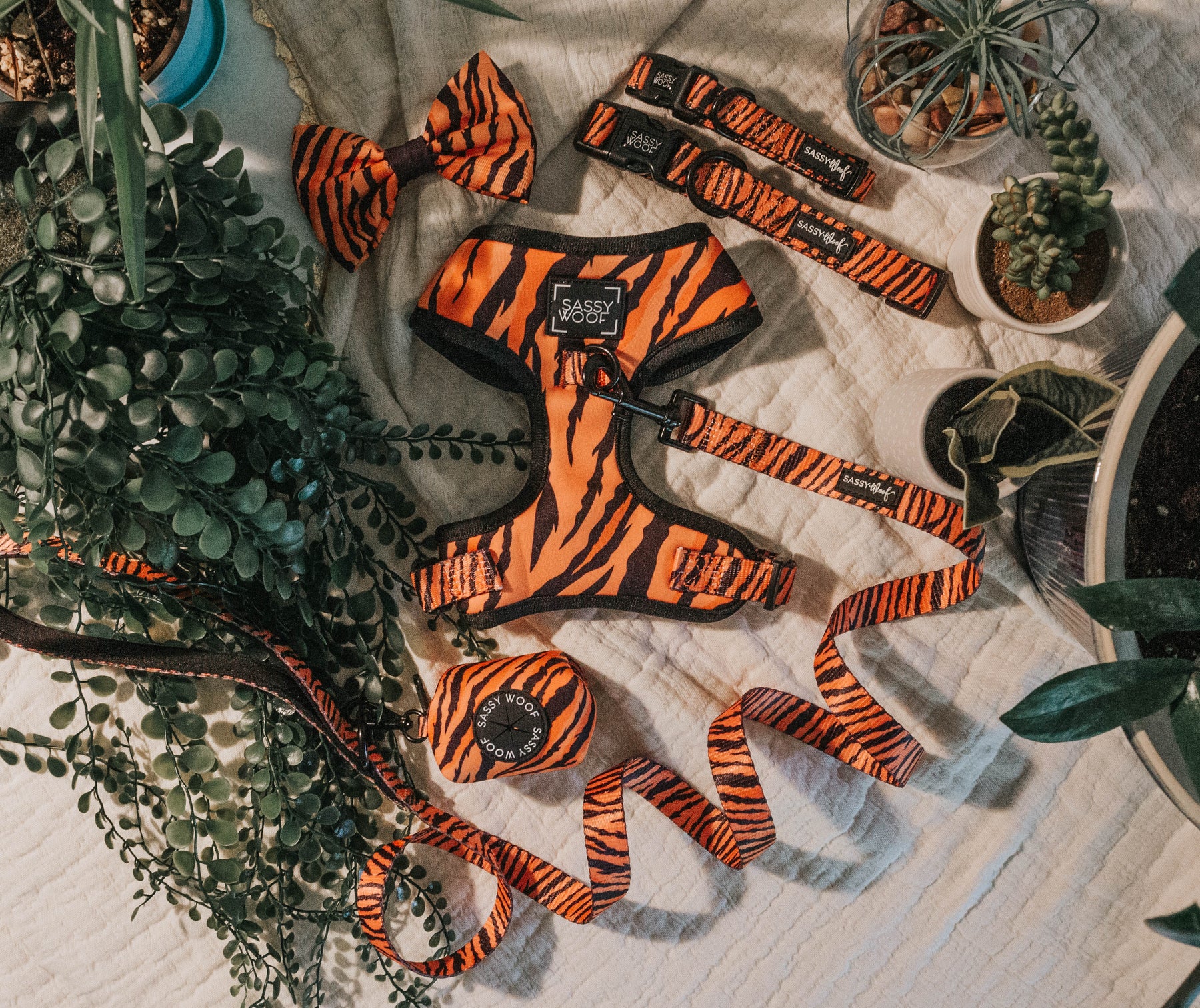 Dog Bundle - Paw of the Tiger