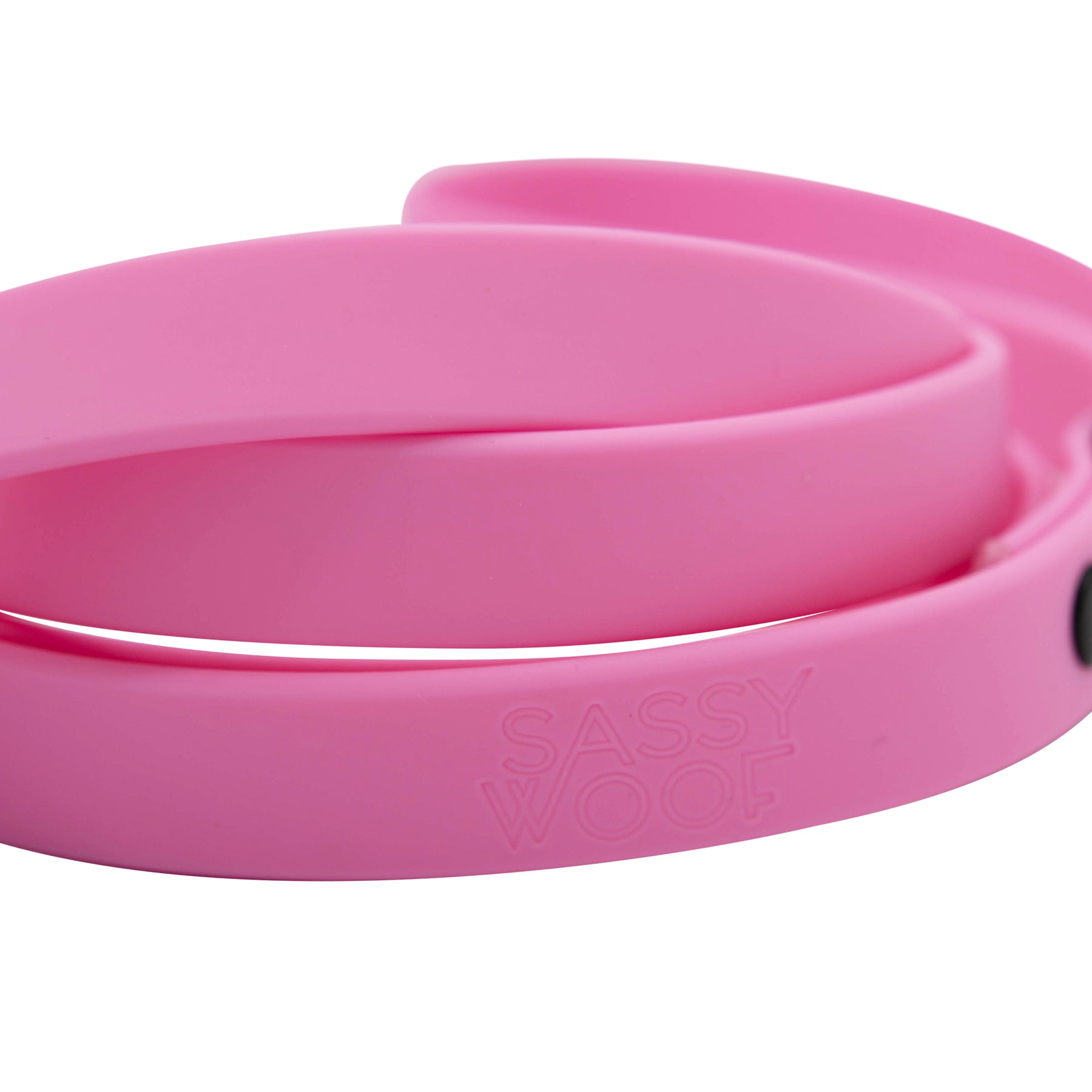 Dog Waterproof Leash - Pink