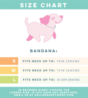 Dog Bandana - Barkday Pink