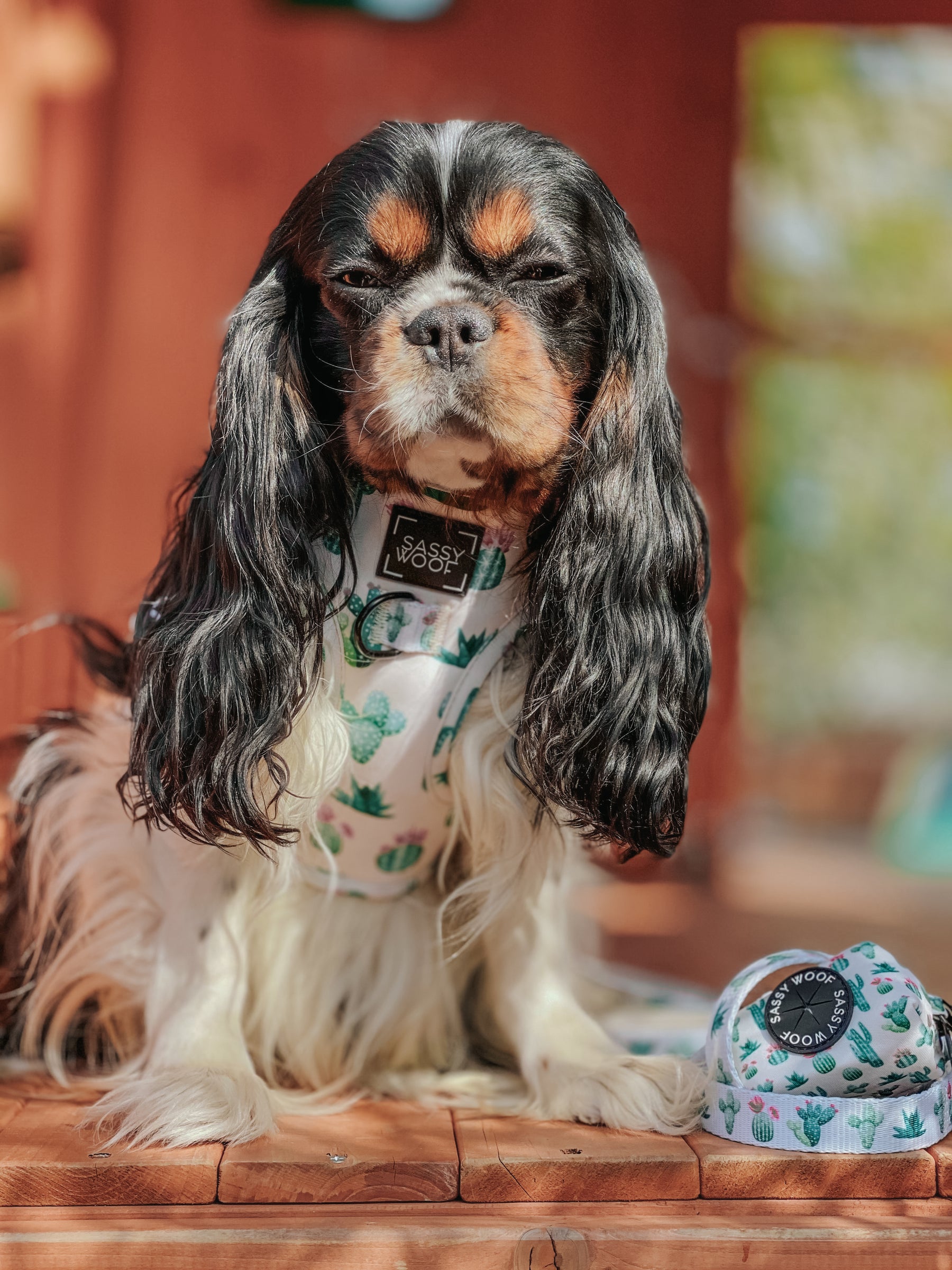 Dog Waste Bag Holder - Sass on Point