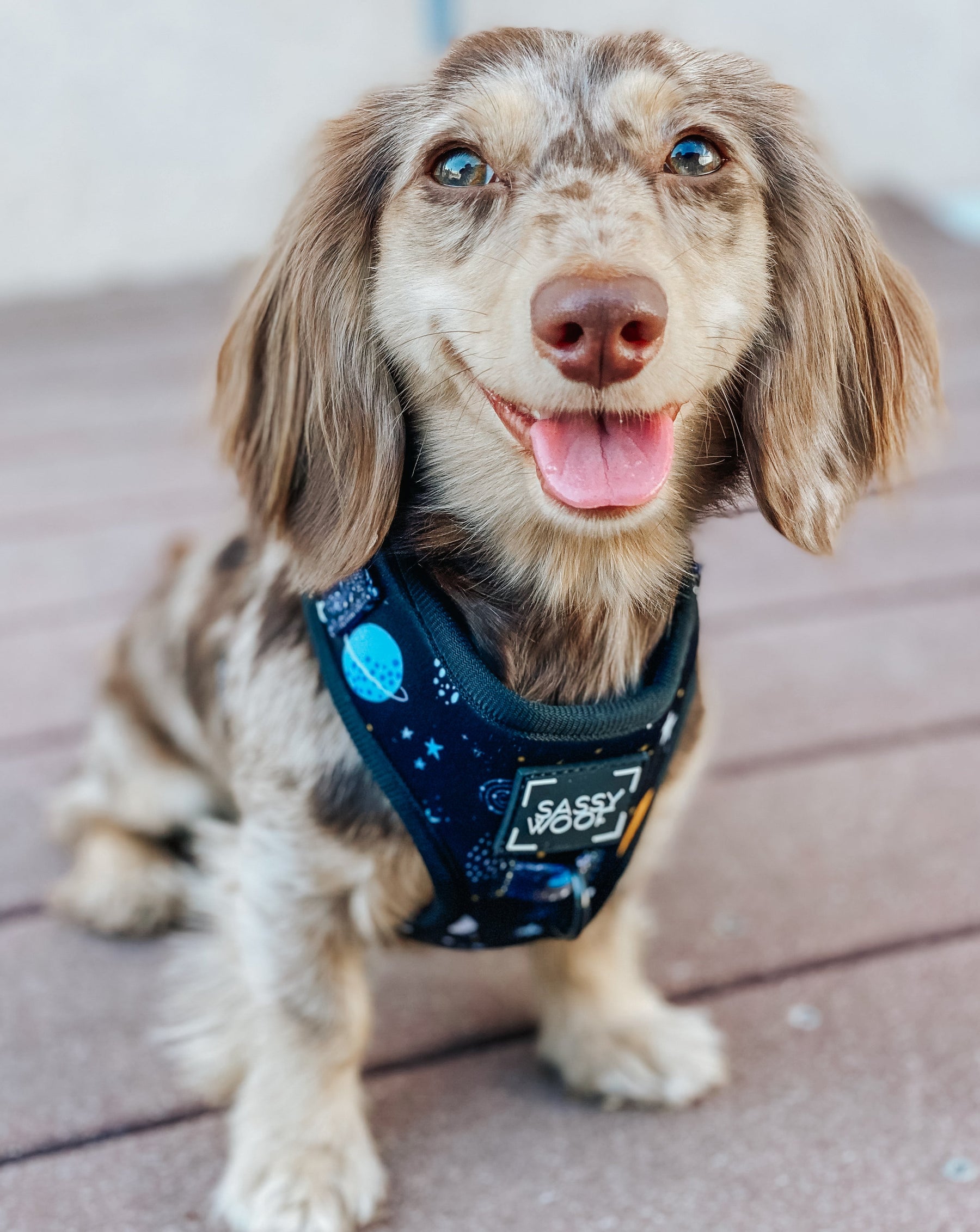 INFLUENCER_CONTENT | @AURORALOVETHEDOXIE | SIZE XS